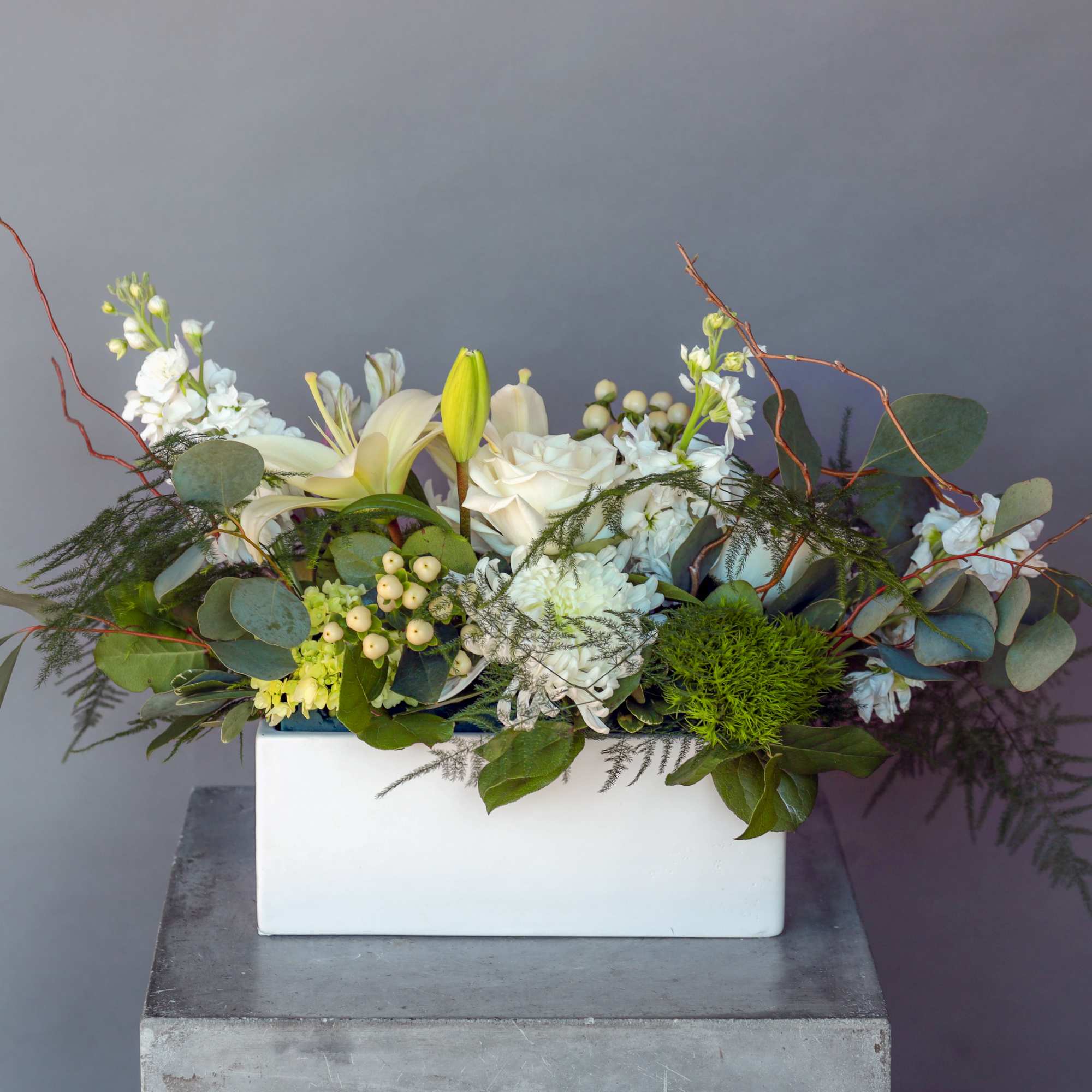 The Miracle is a stunning display of immaculate white blooms, symbolizing a, photo 2 of 2