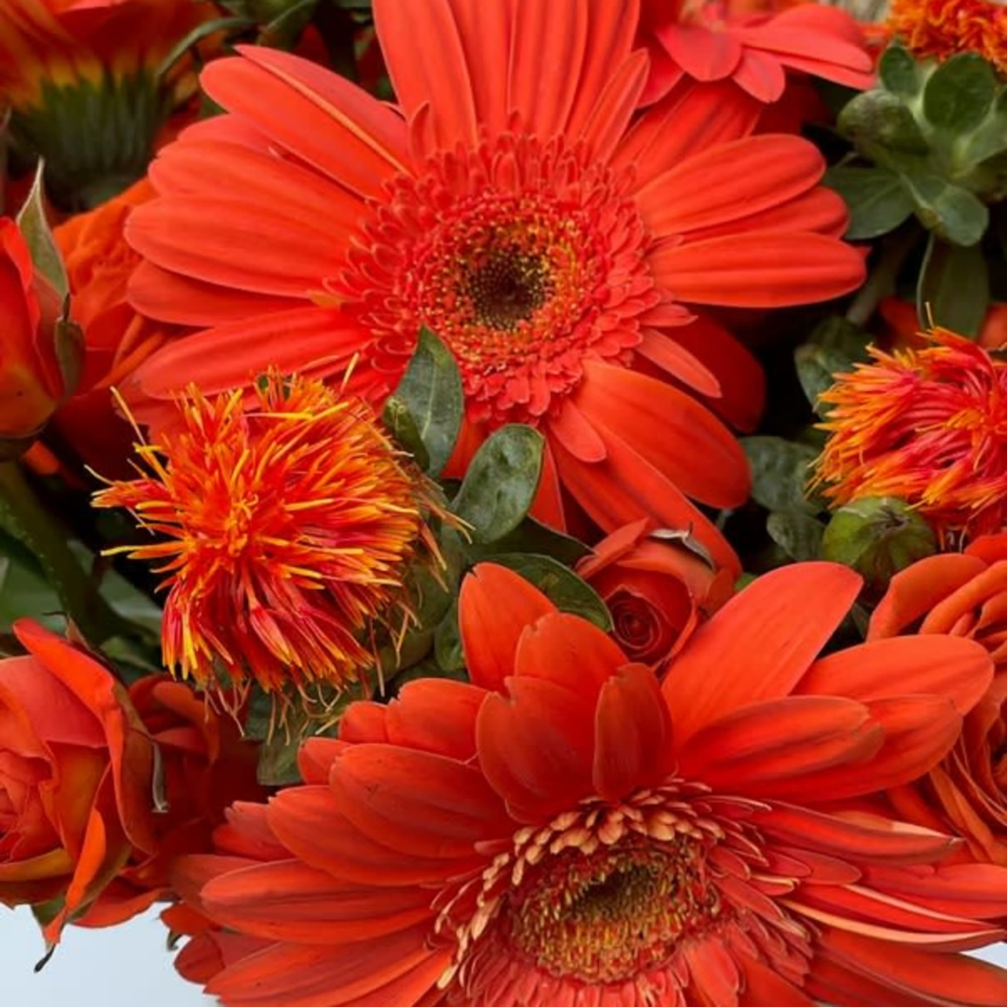 Bouquet of bright orange gerbera daisies and pom-pom flowers