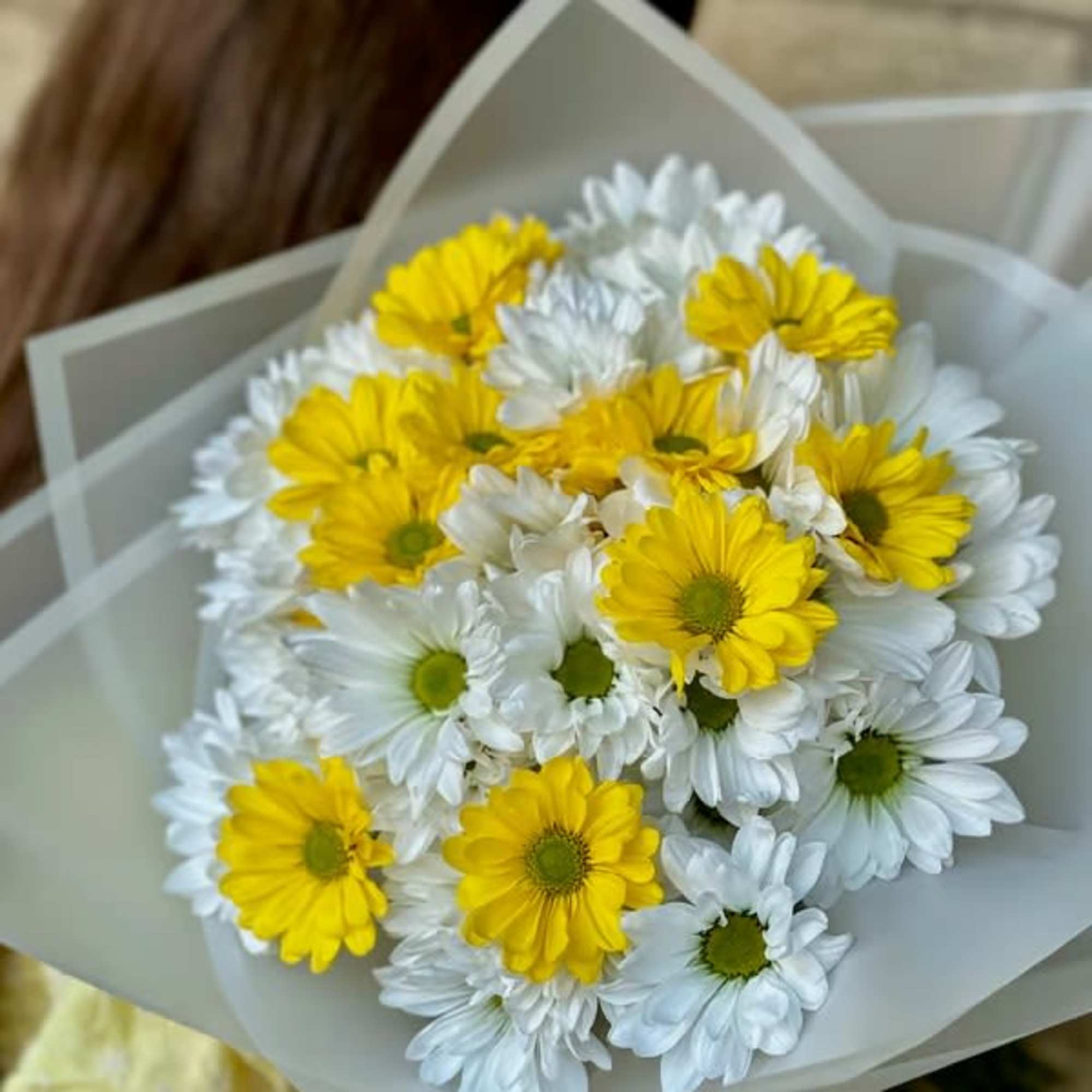 Bouquet of yellow and white daisies wrapped in pale paper