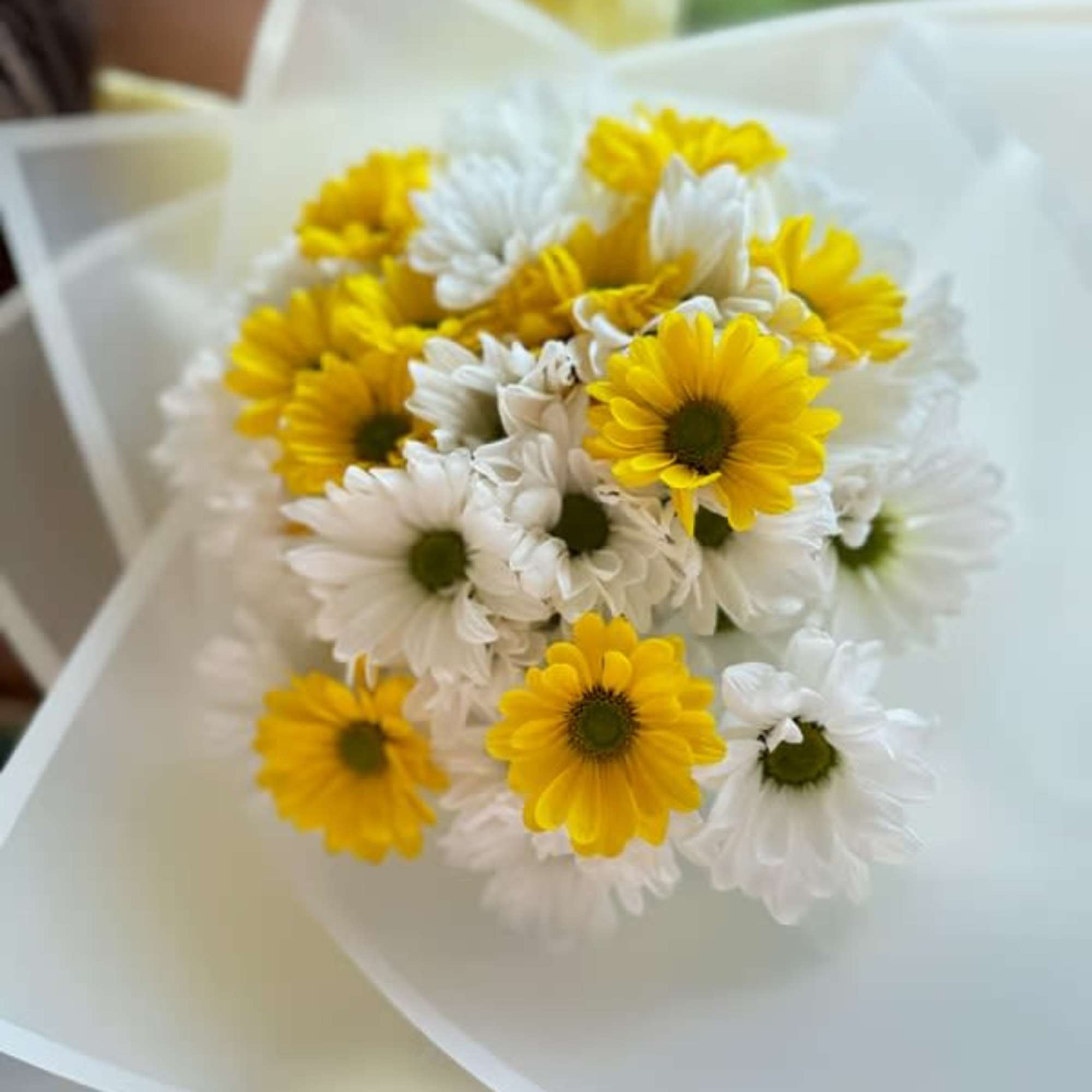 Bouquet of yellow and white daisies wrapped in white paper