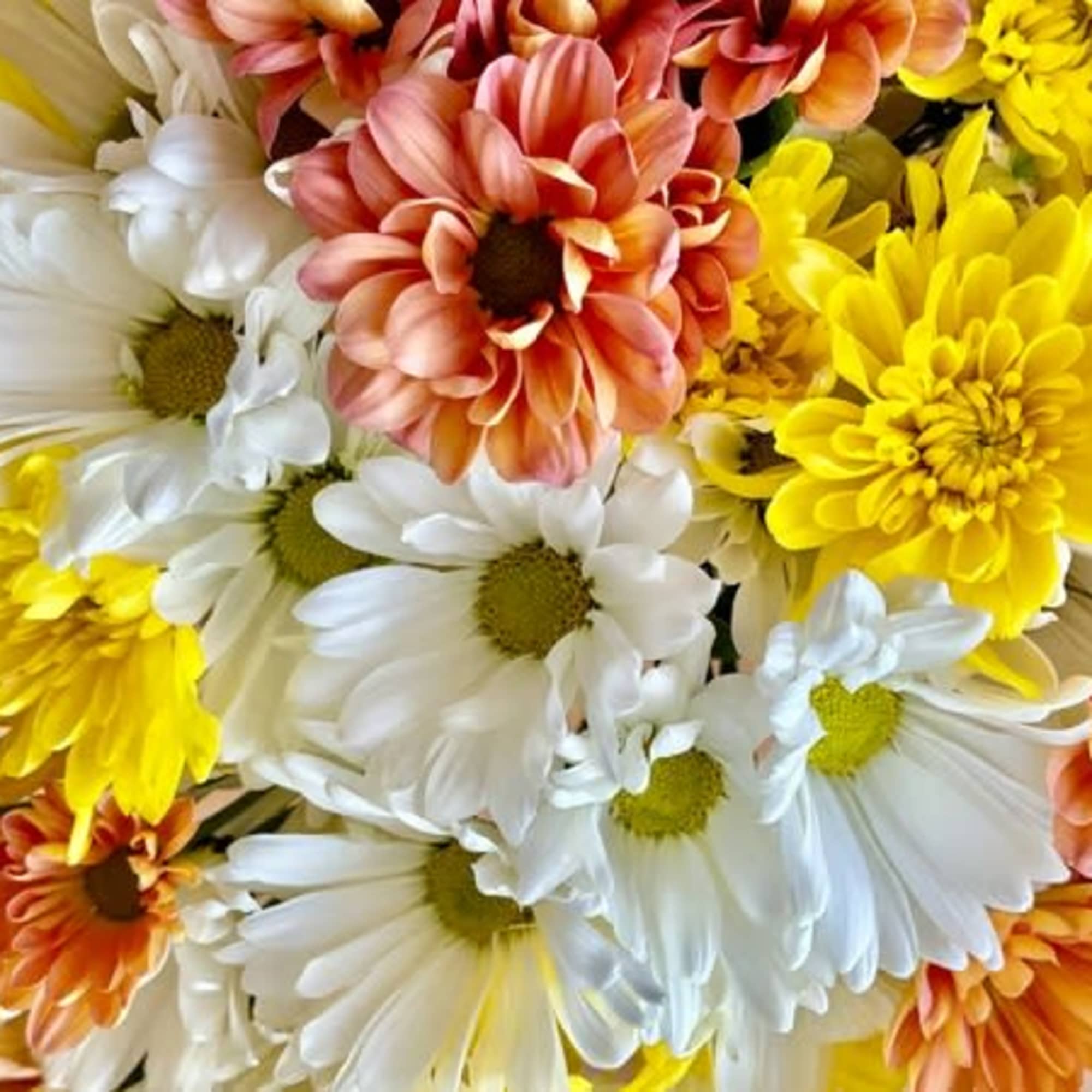 Bouquet of white, yellow, and peach daisies