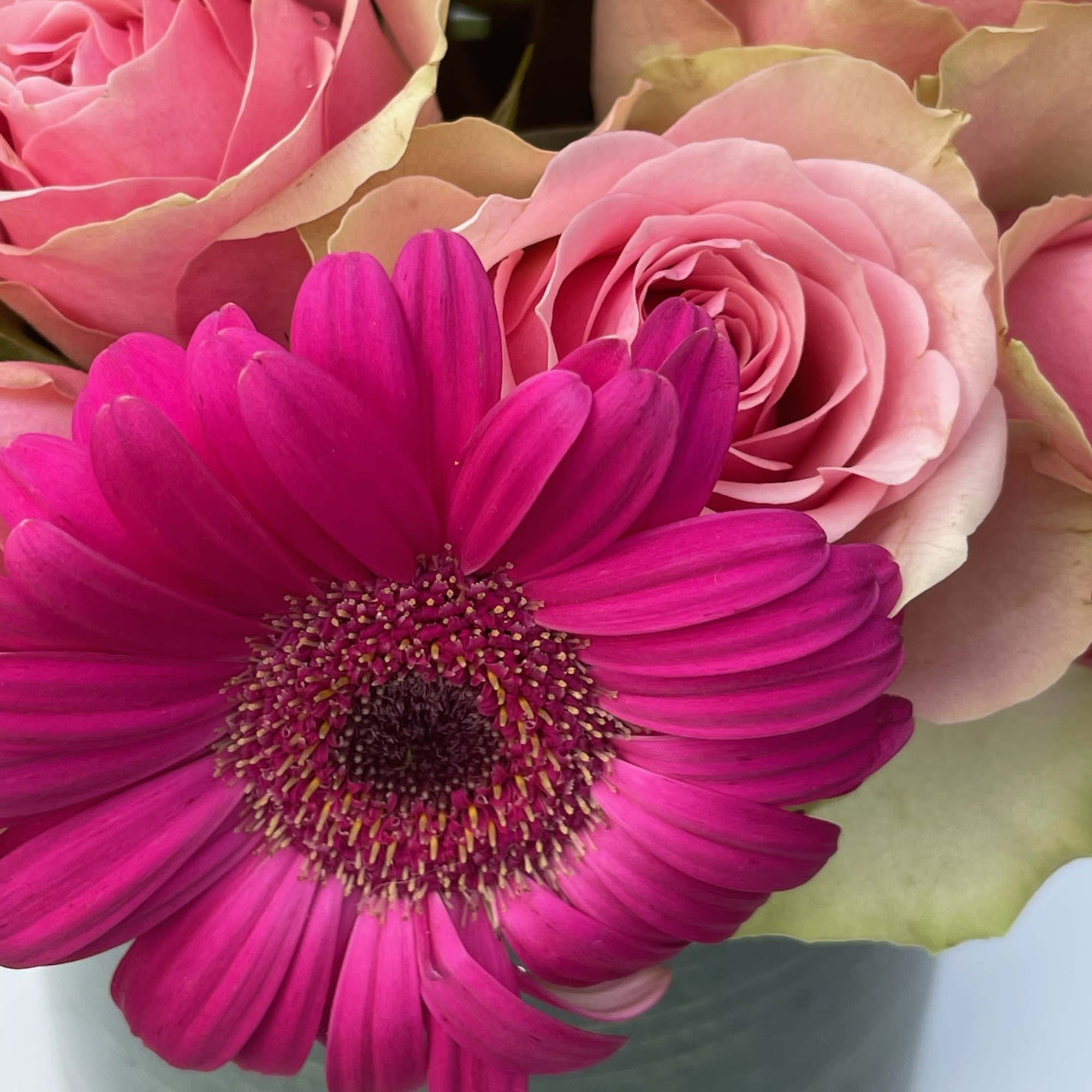 Pink roses and a magenta daisy in a vase
