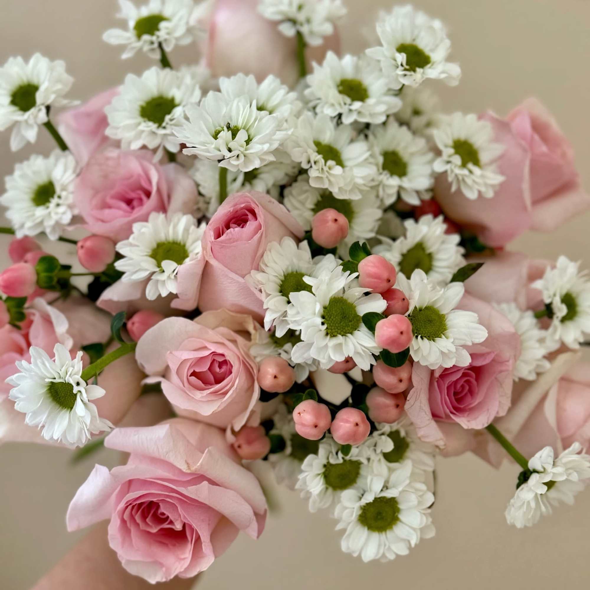 Pink roses and white daisies in a hand-tied bouquet