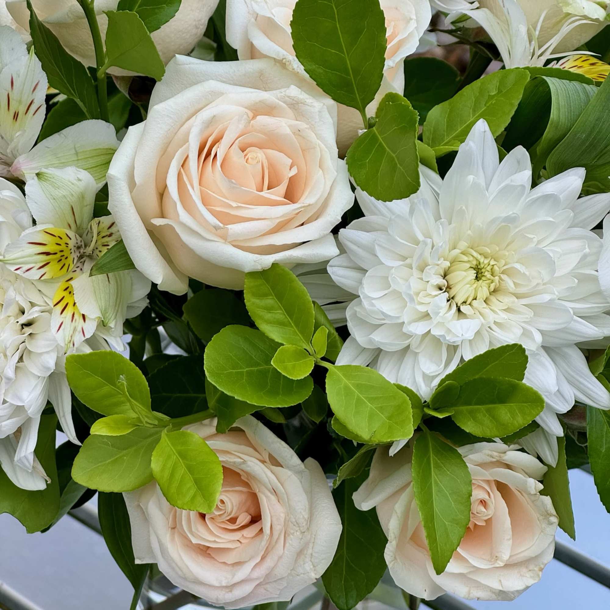 White roses and chrysanthemums in a glass vase with bright green leaves