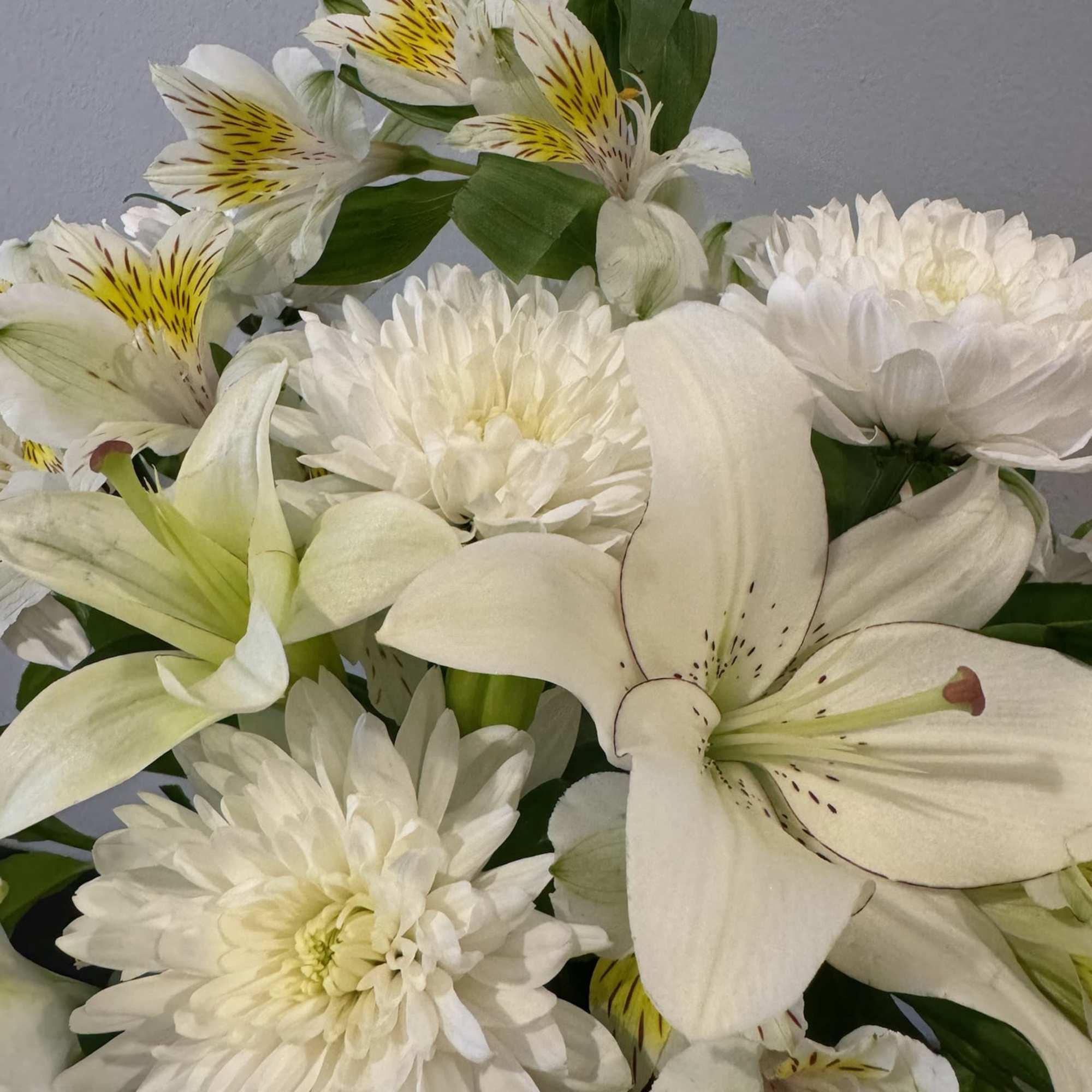 White lilies and chrysanthemums in a bouquet