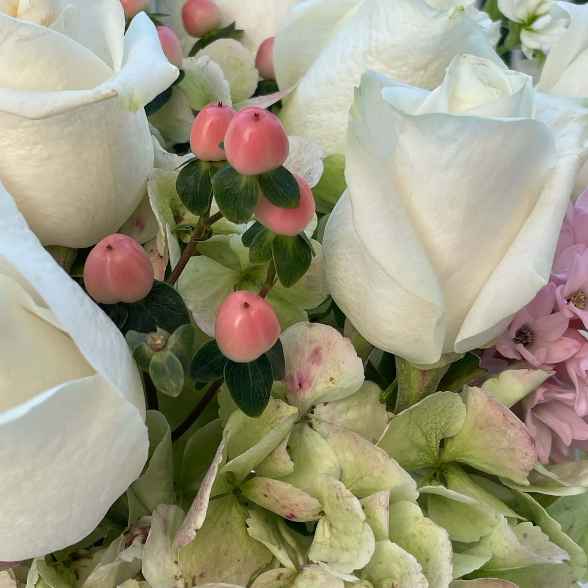 White roses with pale green hydrangeas and pink berries