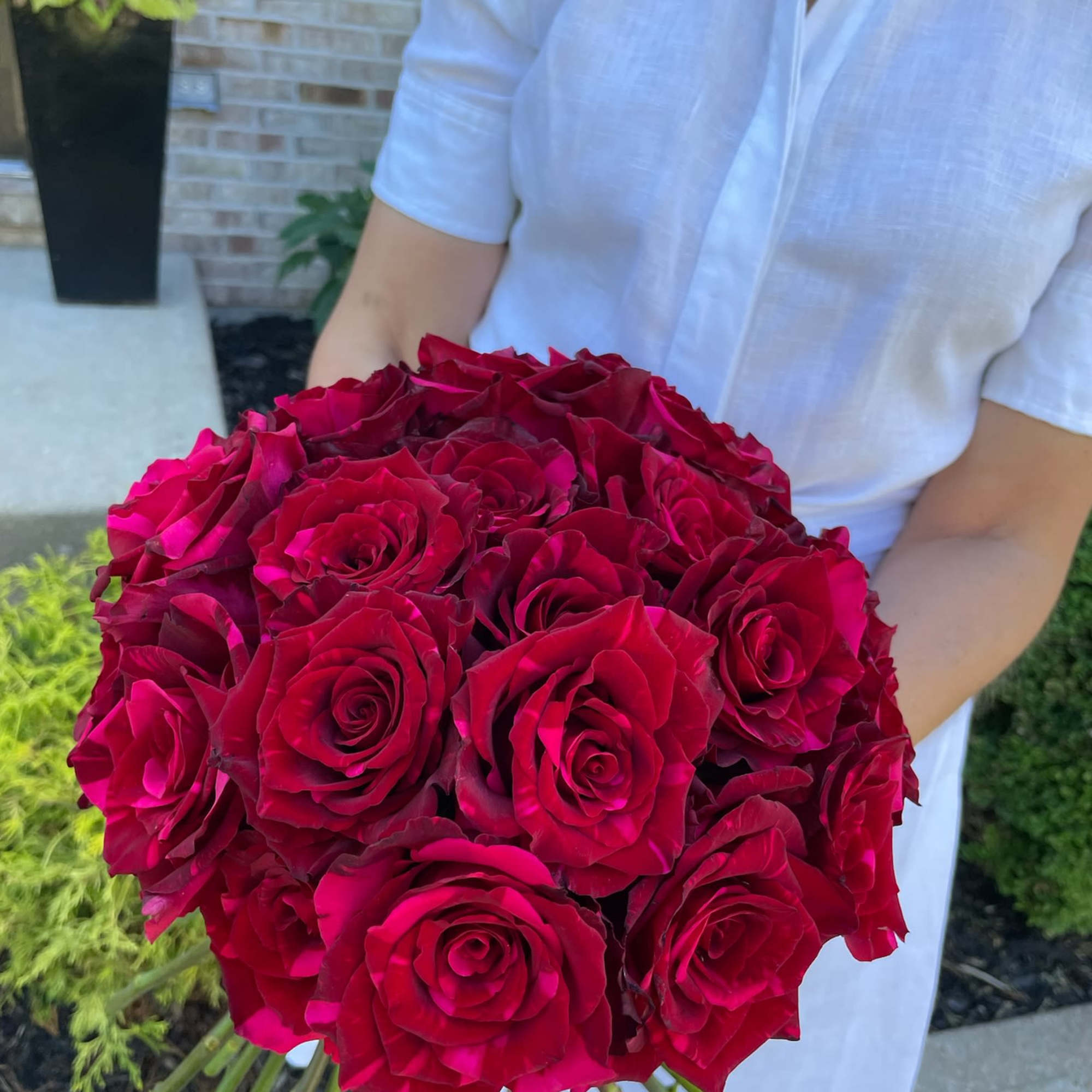 Person holding a round bouquet of deep pink roses