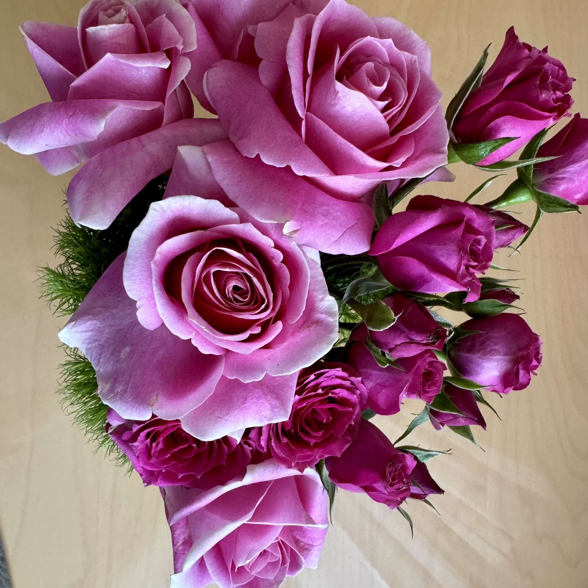 Pink rose bouquet with several open blooms and buds