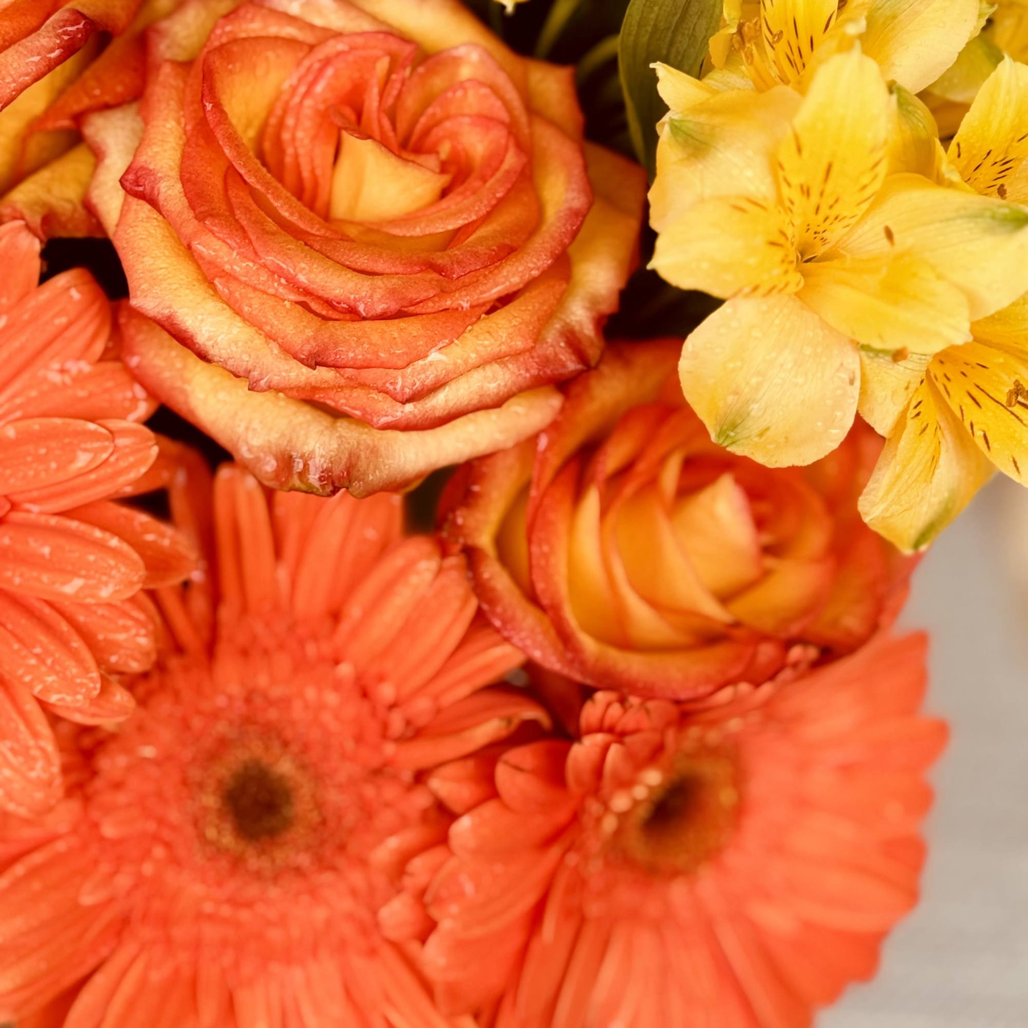 Orange roses and gerbera daisies with yellow alstroemeria