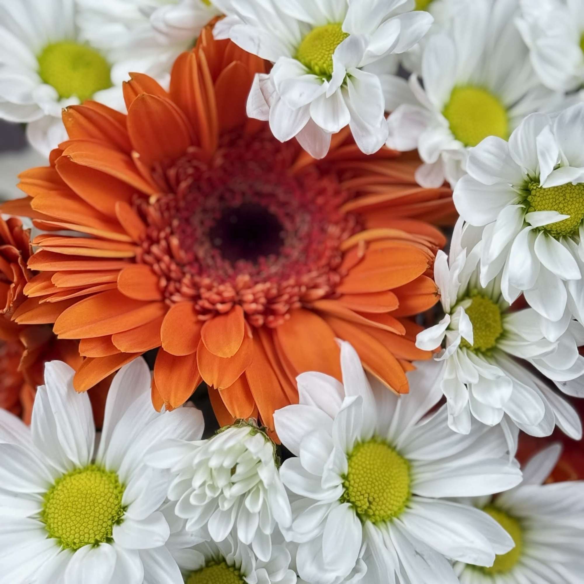 This cheerful arrangement is designed to bring a playful burst of personality, photo 3 of 3