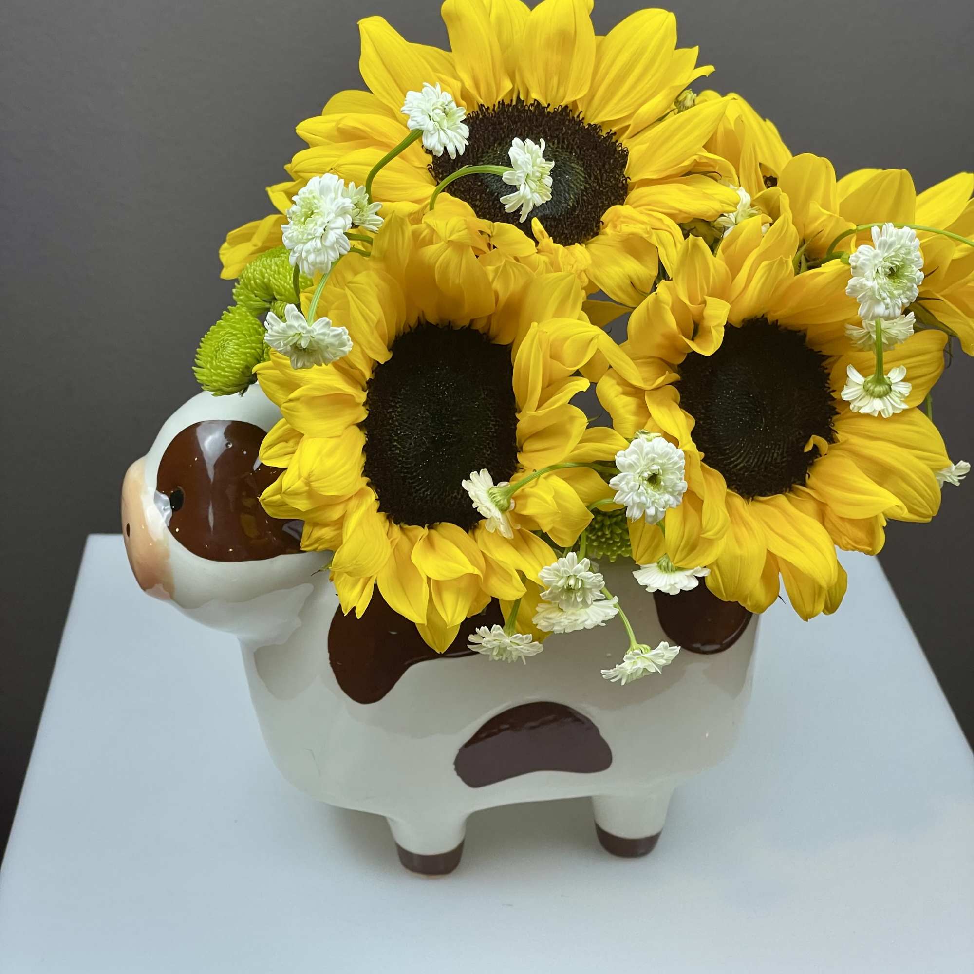 Bring a touch of rustic sunshine into any space with the Country, photo 2 of 3