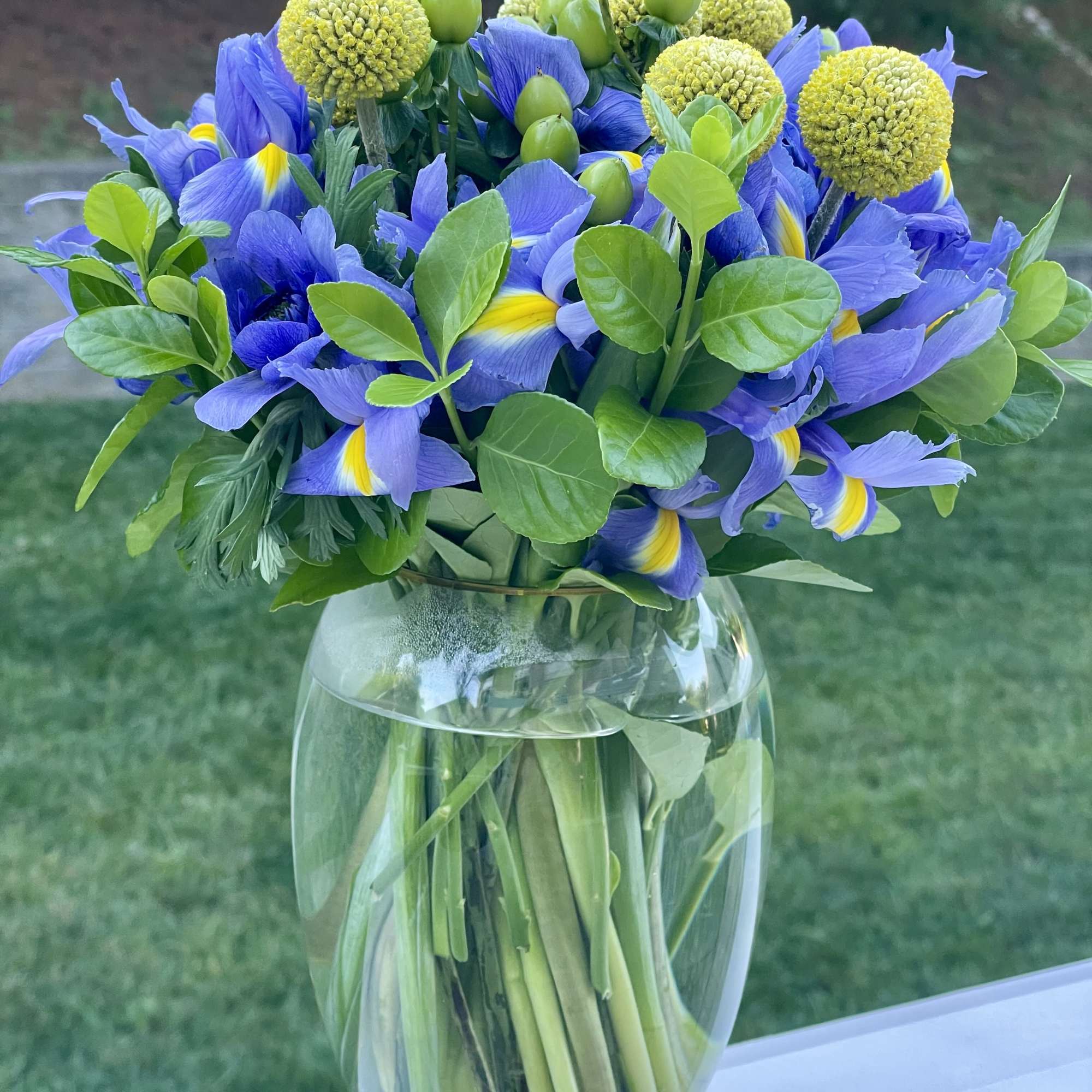 This vibrant arrangement features rich blue irises, sunny yellow billy balls, and, photo 2 of 2
