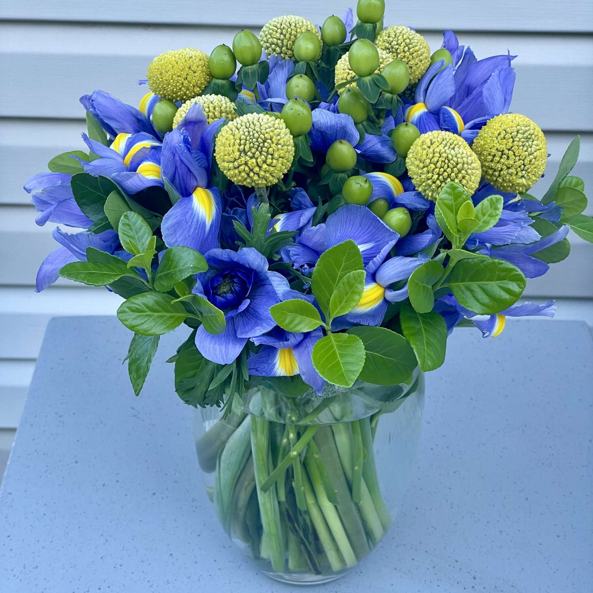 This vibrant arrangement features rich blue irises, sunny yellow billy balls, and