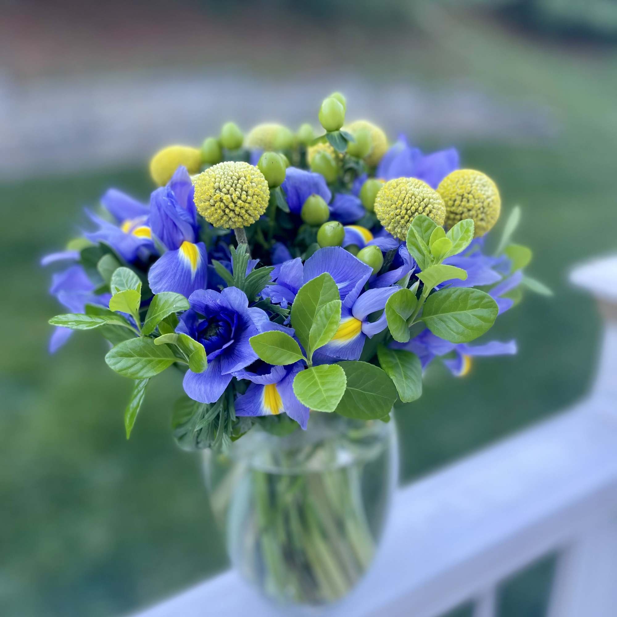 This vibrant arrangement features rich blue irises, sunny yellow billy balls, and, photo 2 of 3
