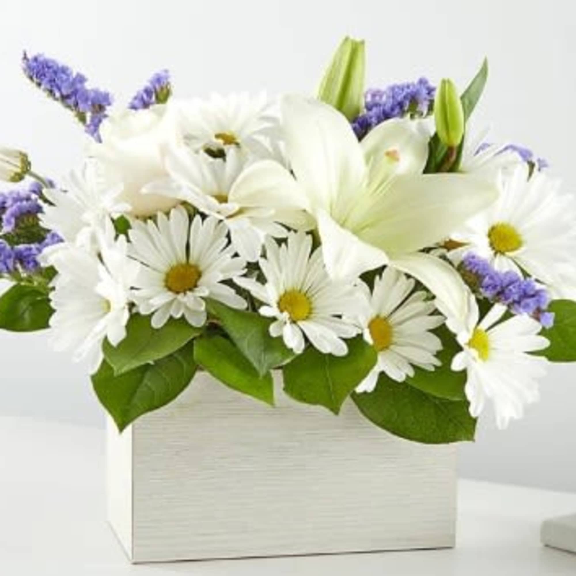 White lilies and daisies in a white box with purple accents