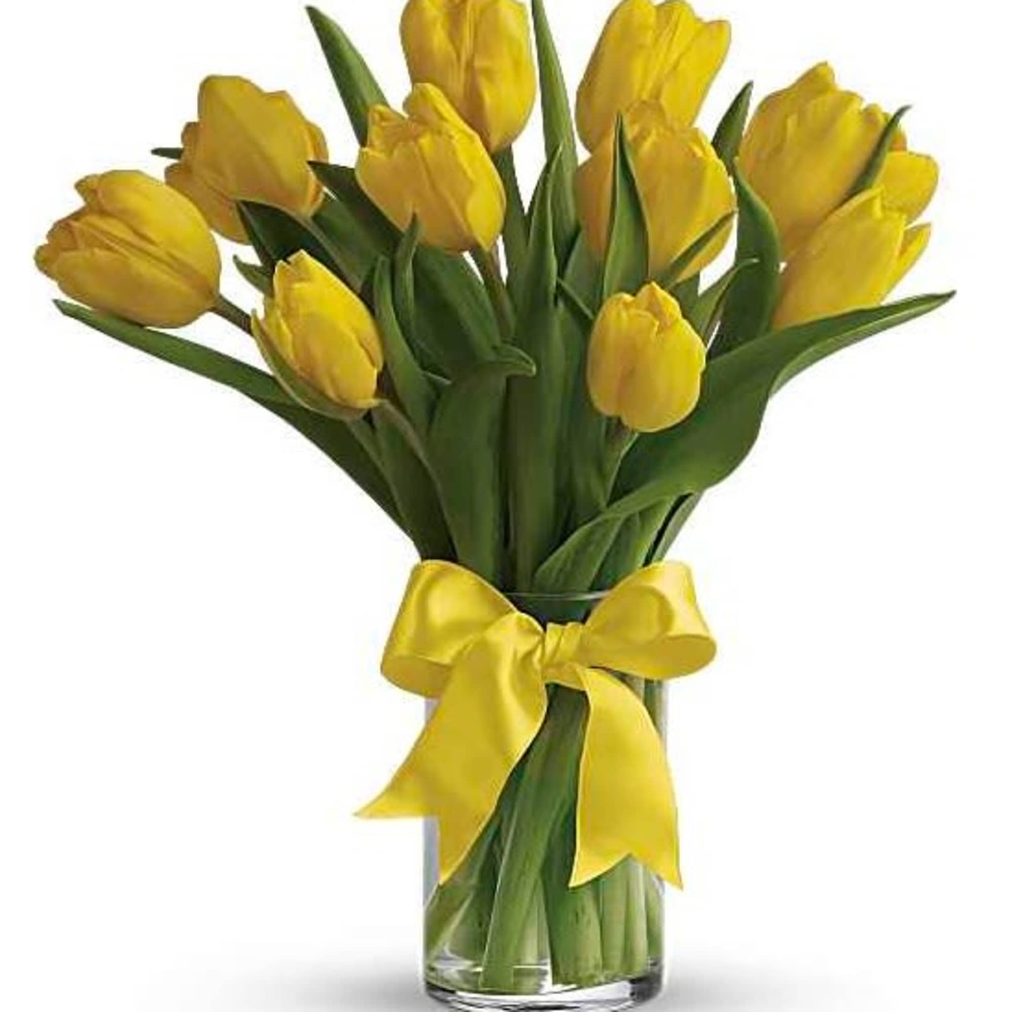 Yellow tulips in a clear glass vase tied with a yellow ribbon