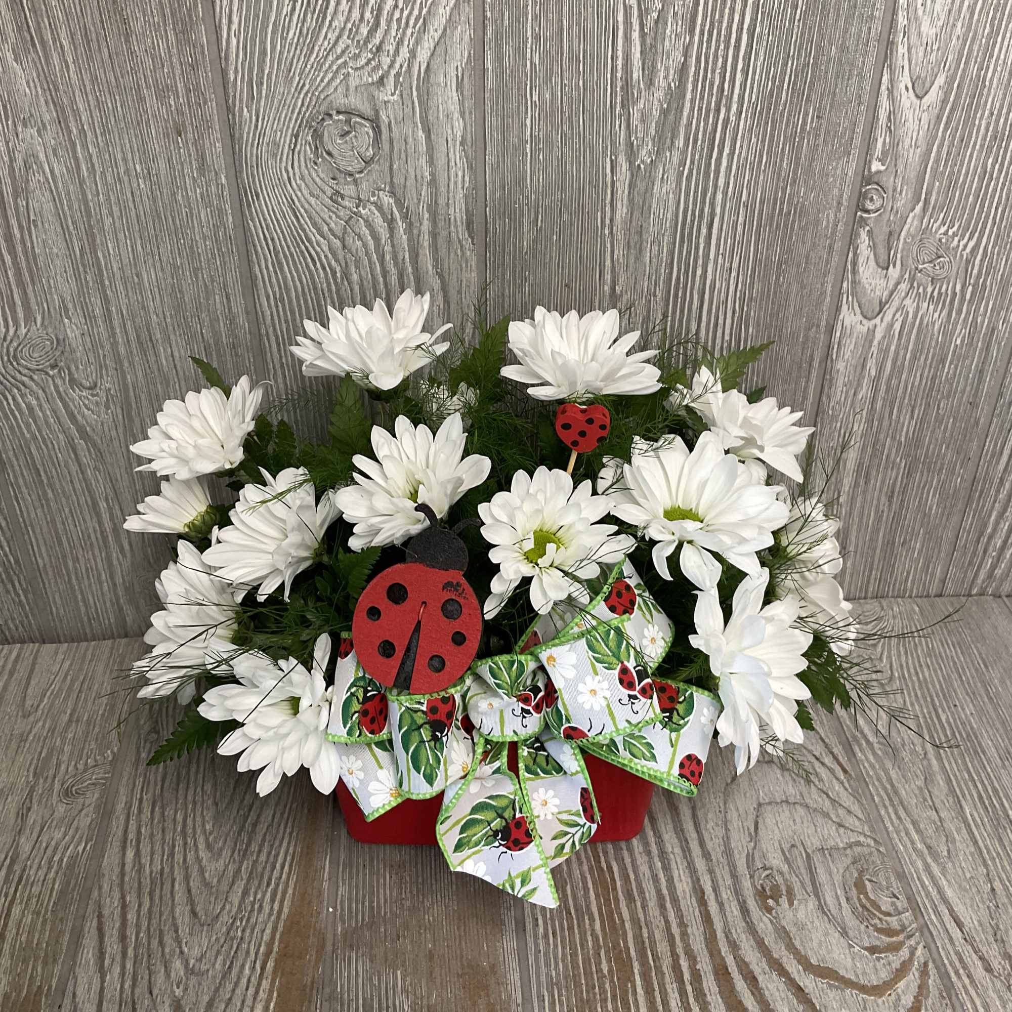 White daisy bouquet in a red container with a ladybug ribbon