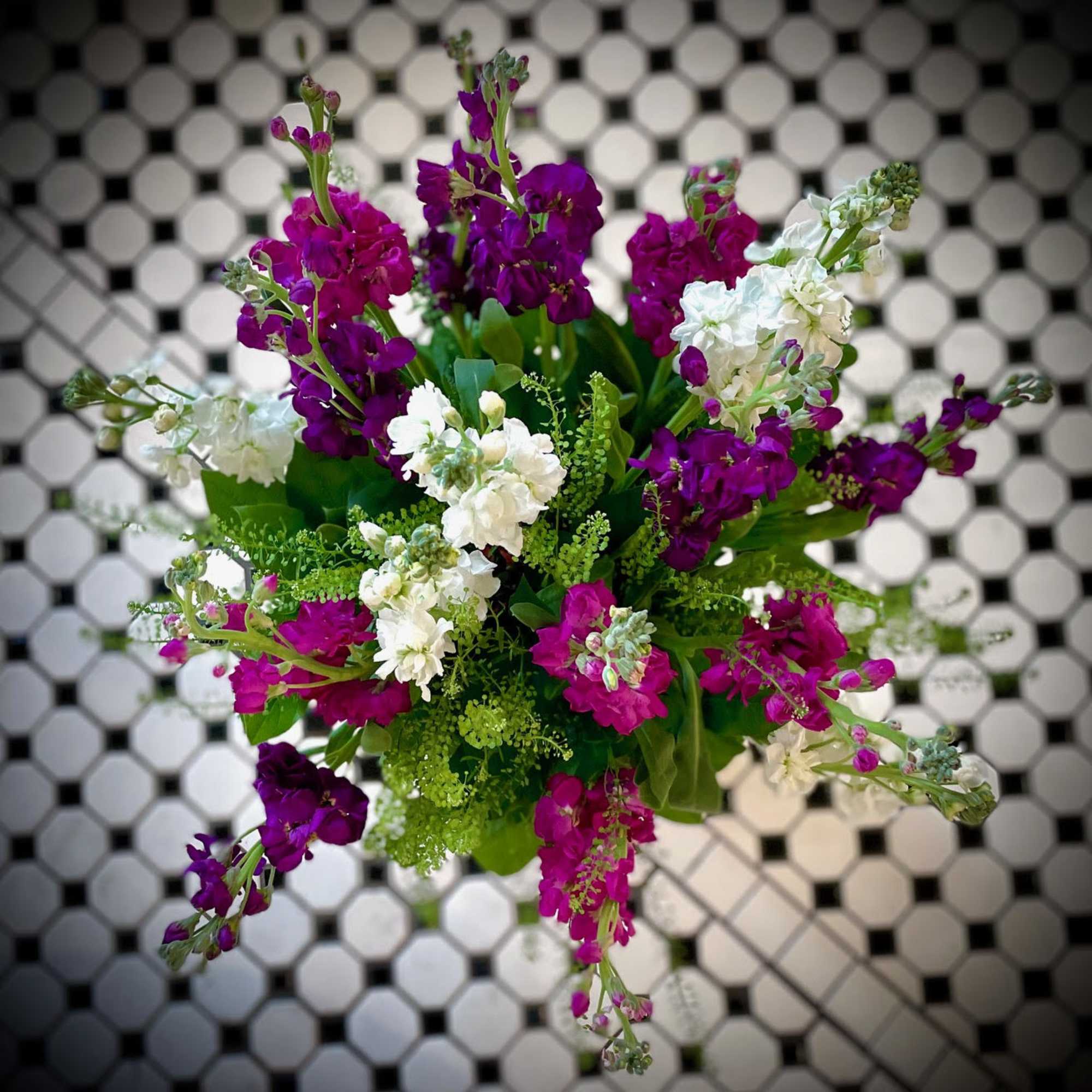 Stunning Stock features the soft fragrance and blooms of 13 Stock stems, photo 2 of 4