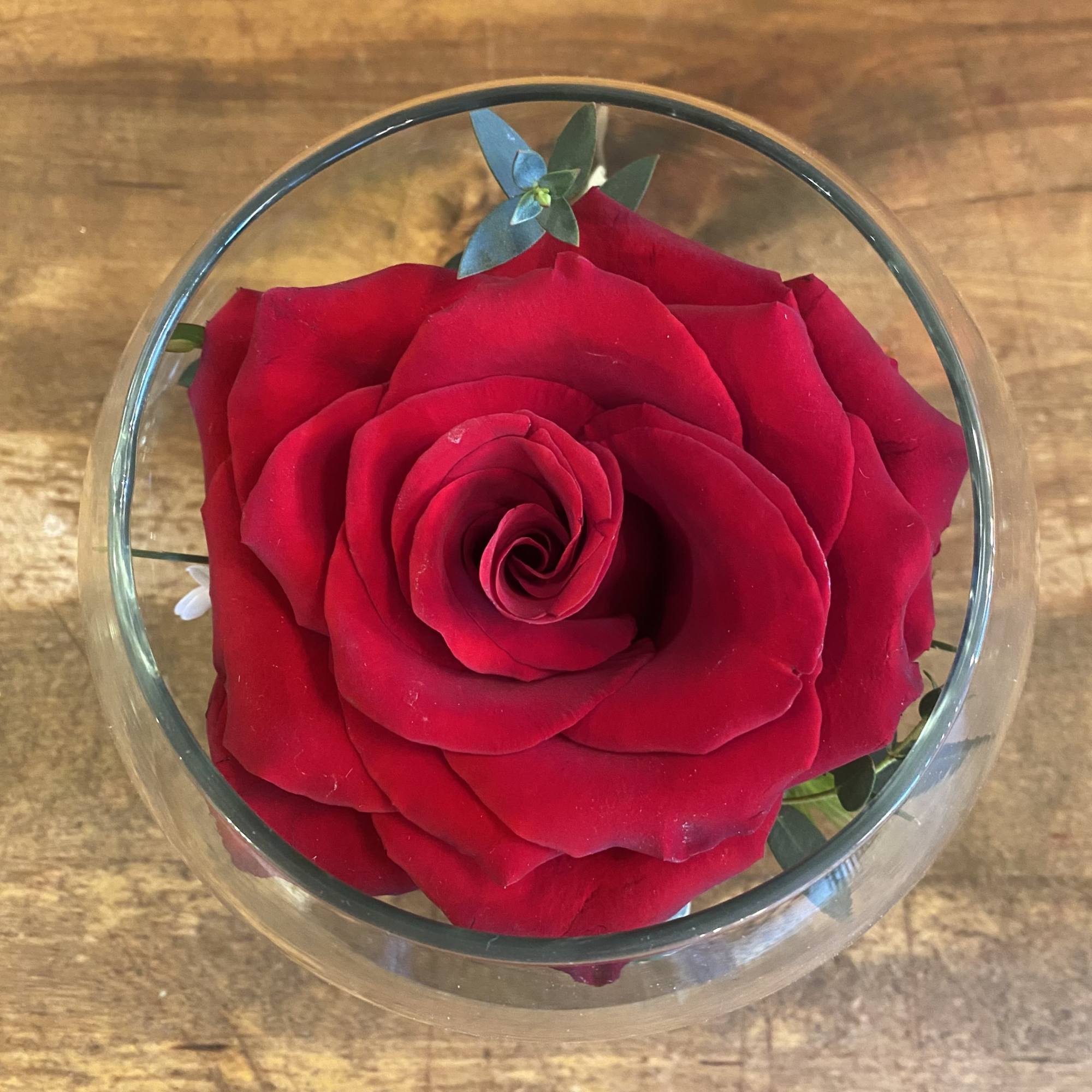 Single red rose in a clear glass bowl