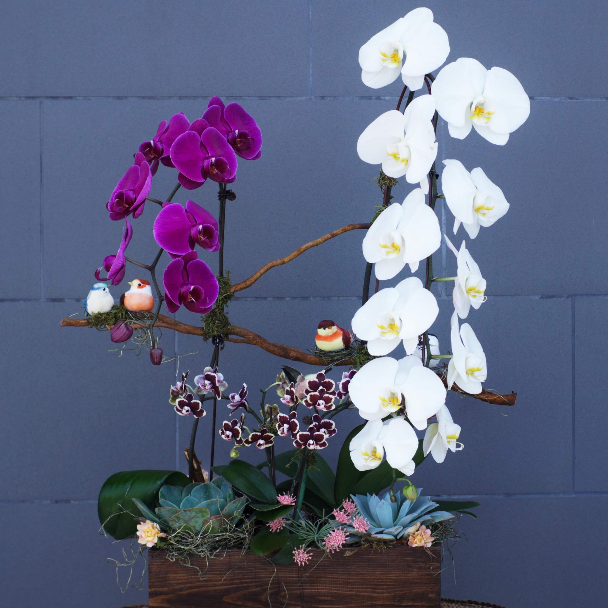Orchid arrangement with white and purple blooms in a wooden box