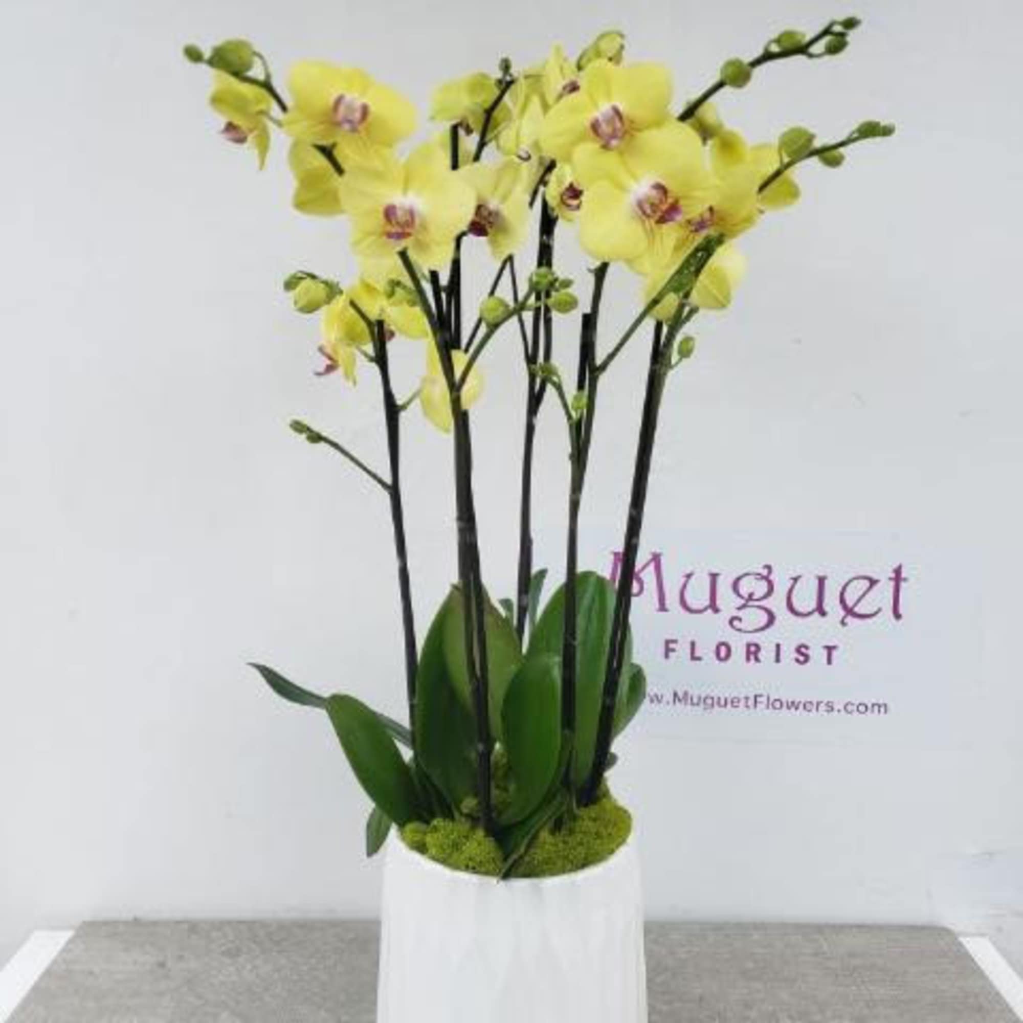Yellow orchids arranged in a white cylindrical vase
