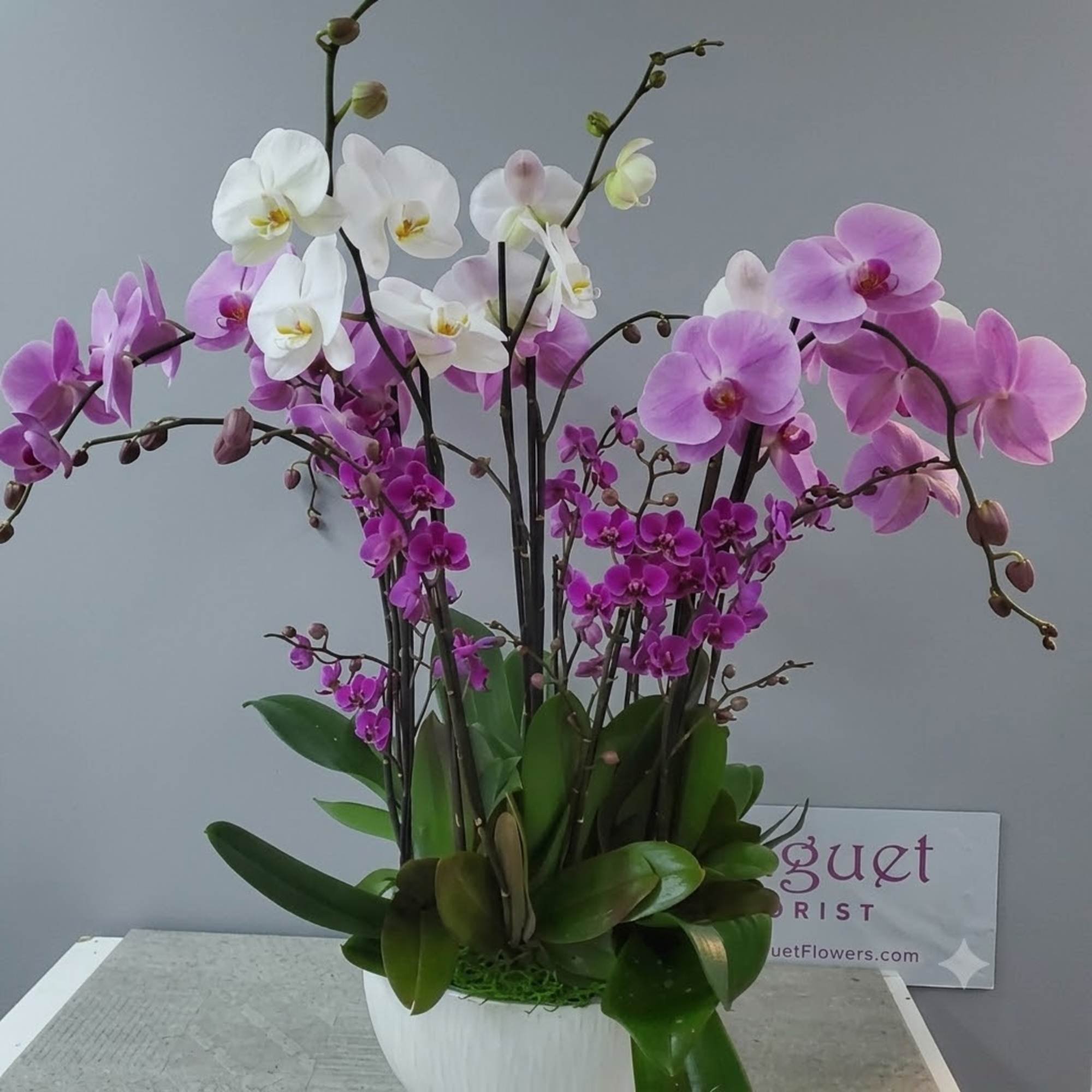Arrangement of pink, purple, and white orchids in a white vase
