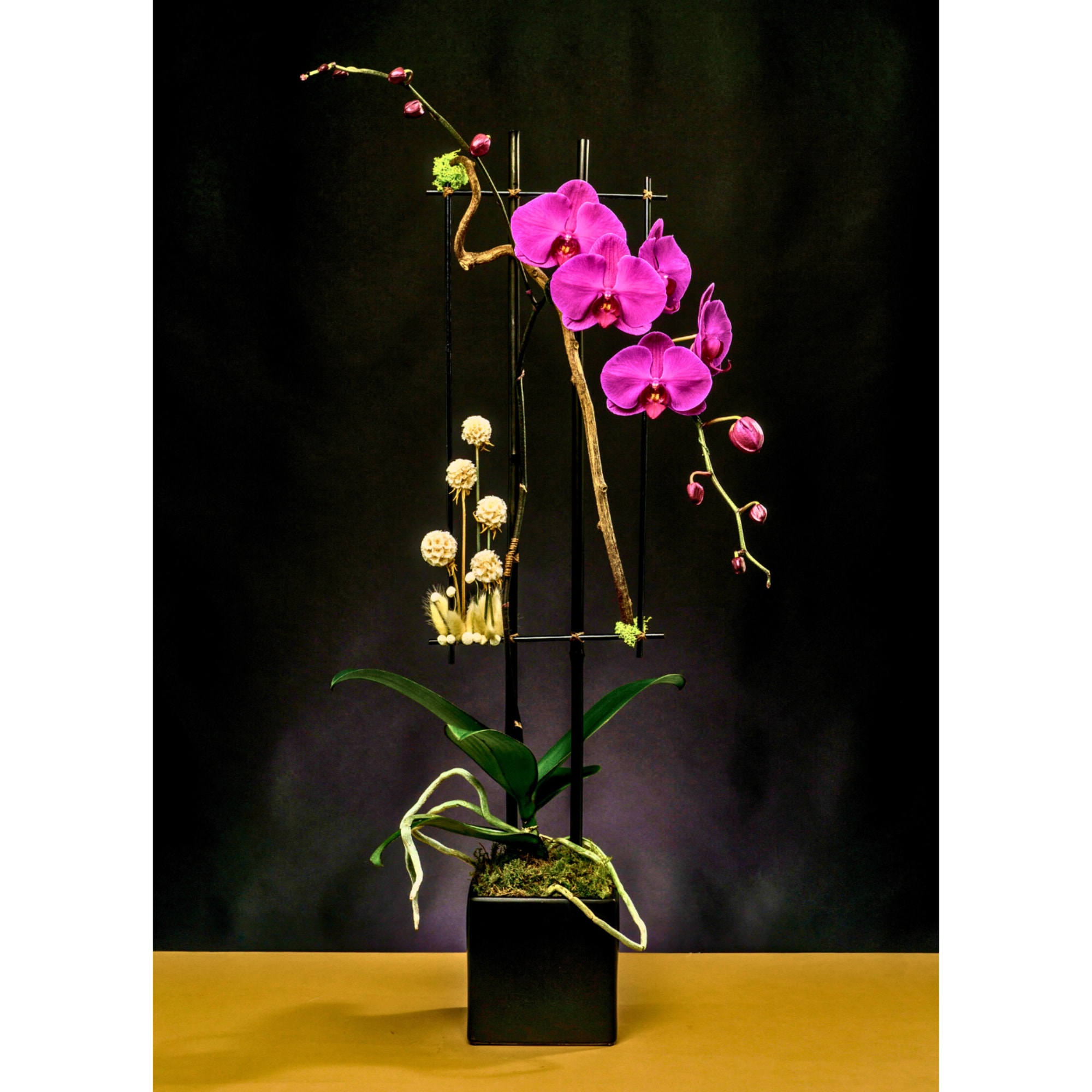 Tall orchid arrangement in a black square vase with magenta blooms