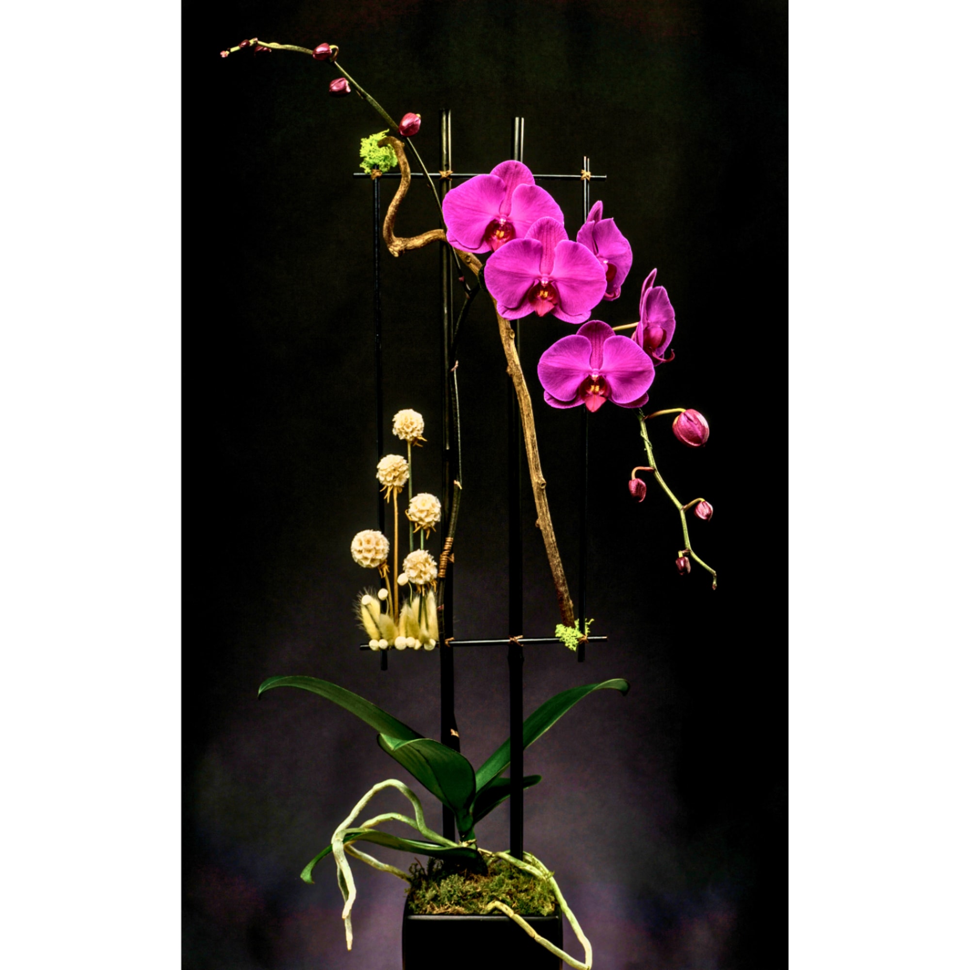 Purple orchids arranged on a tall black frame with moss at the base