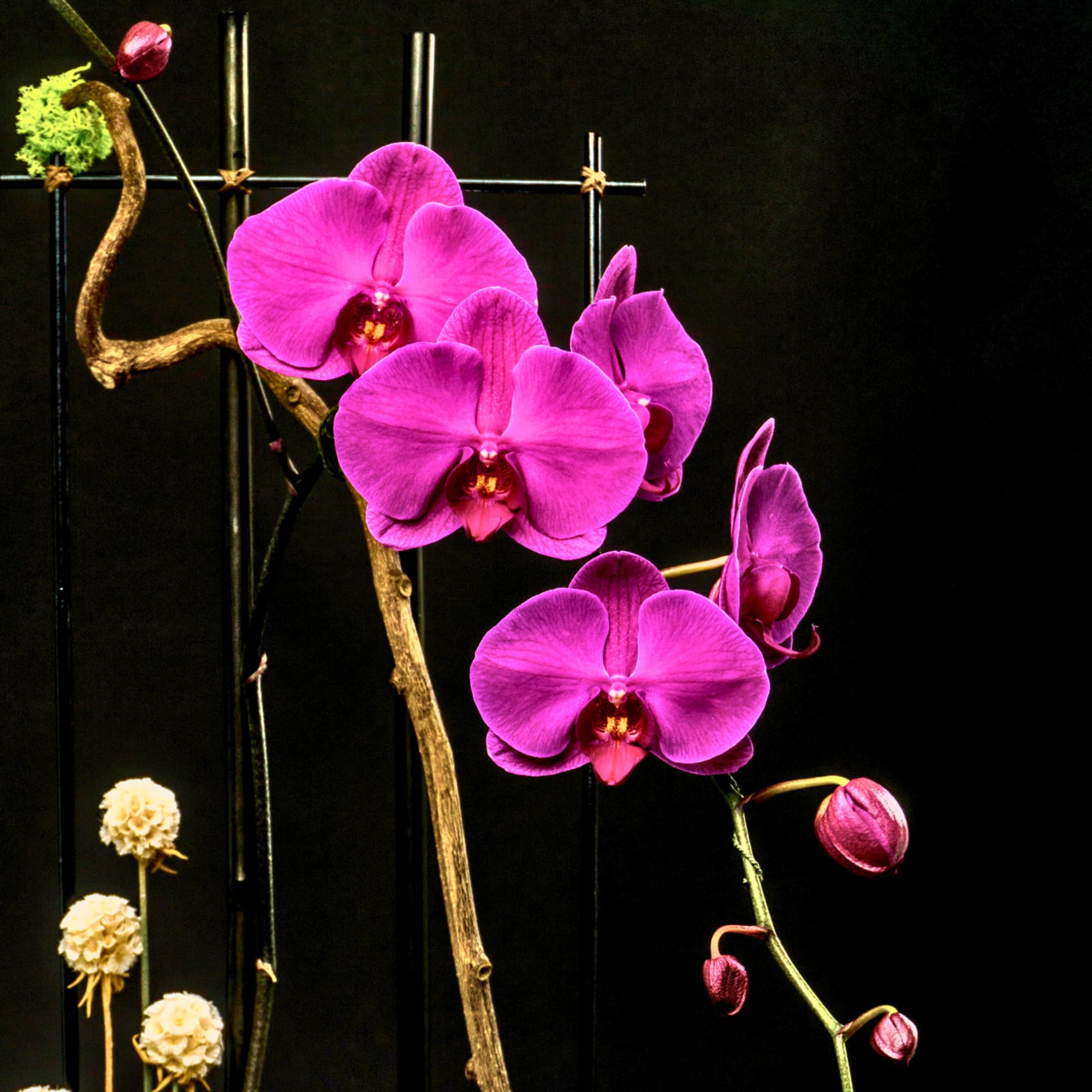 Purple orchids arranged on a dark decorative branch display
