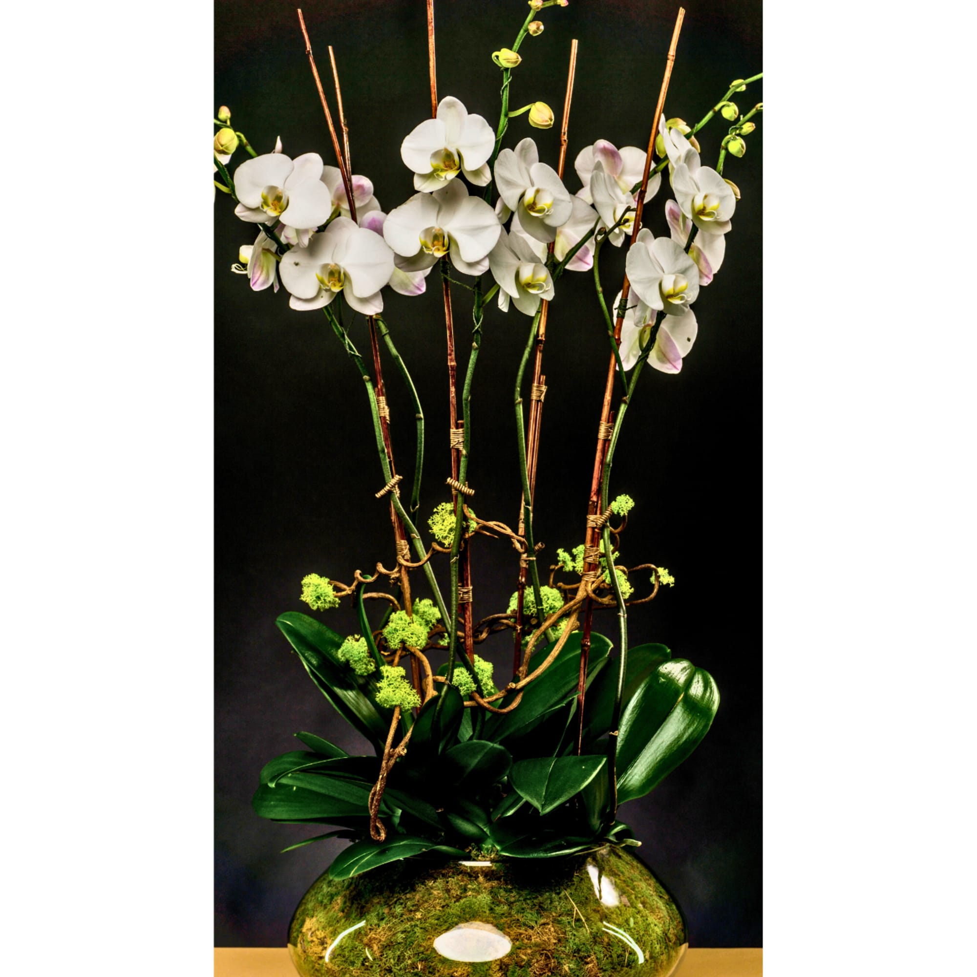 White orchids arranged in a glass vase with moss and curly branches