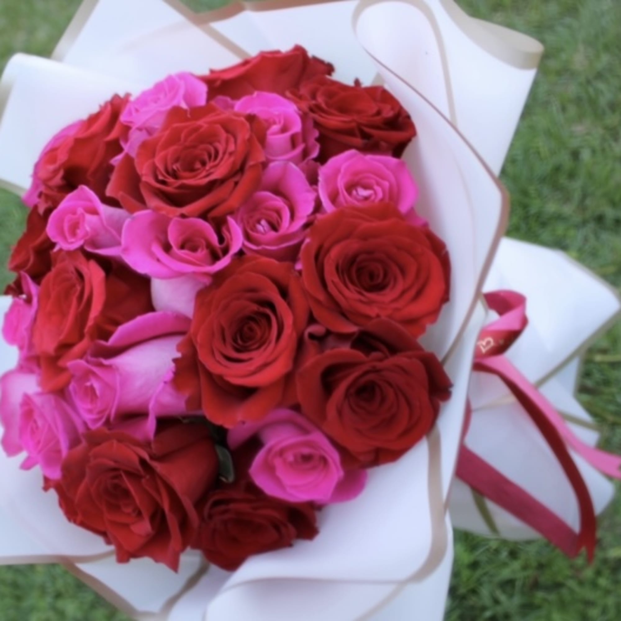 Bouquet of red and pink roses wrapped in white paper
