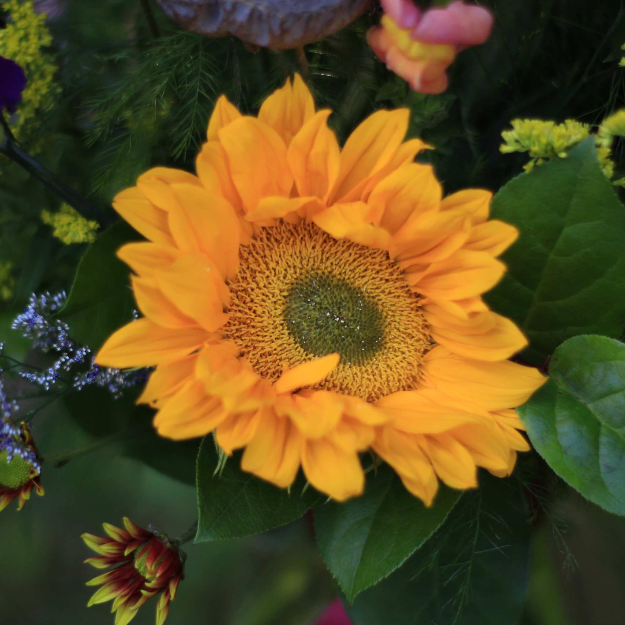 Yellow sunflower surrounded by mixed flowers and greenery