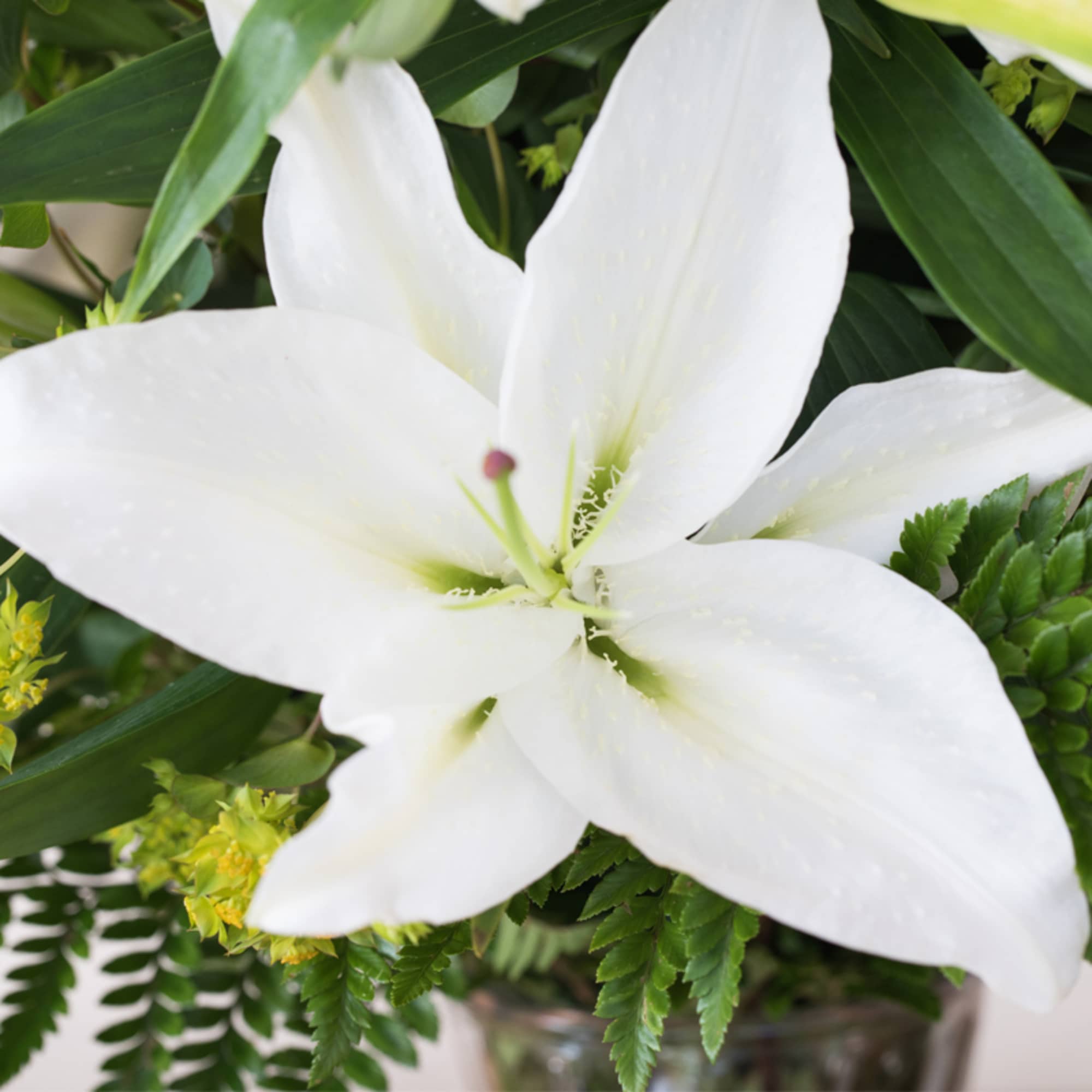 Make the holidays or any special occasion unforgettable with our elegant arrangement, photo 2 of 3