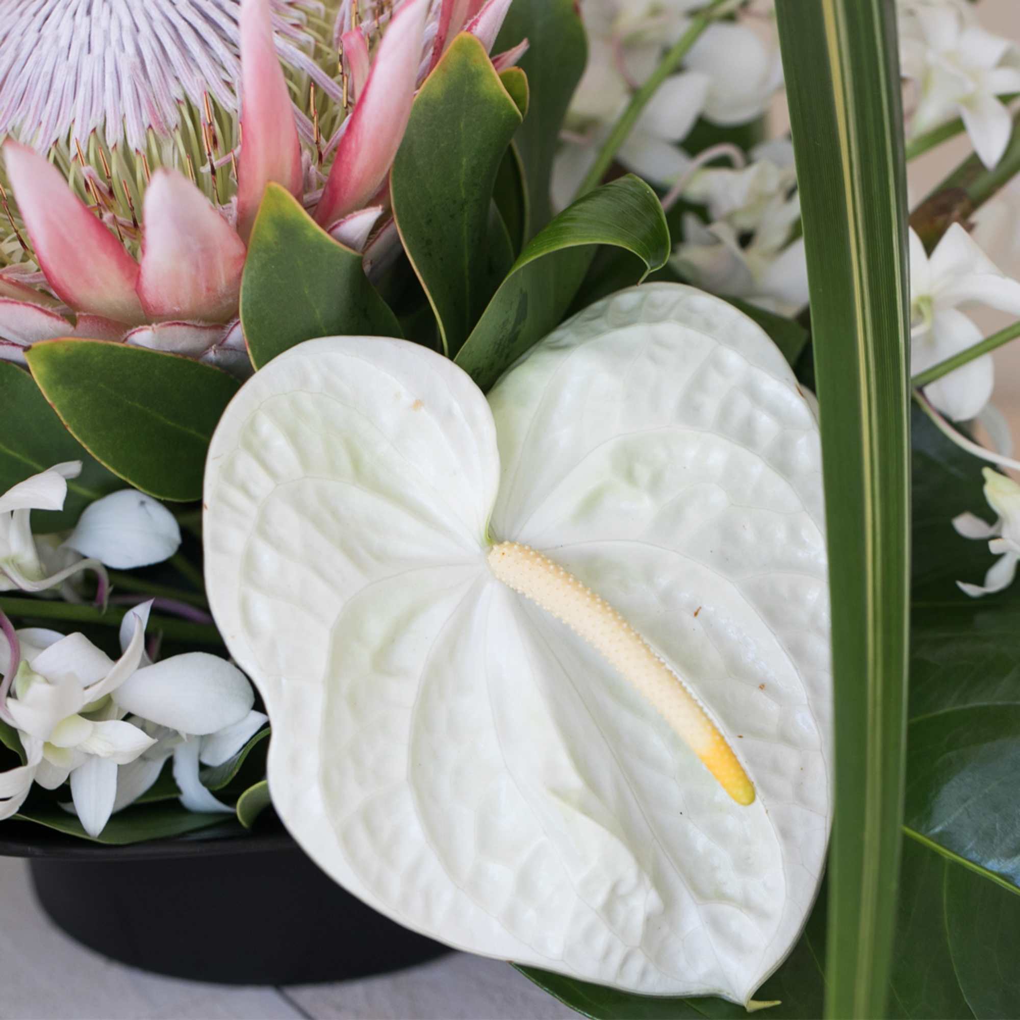 Trendy and Fun, this arrangement features exotic tropical flowers that exude elegance, photo 6 of 7