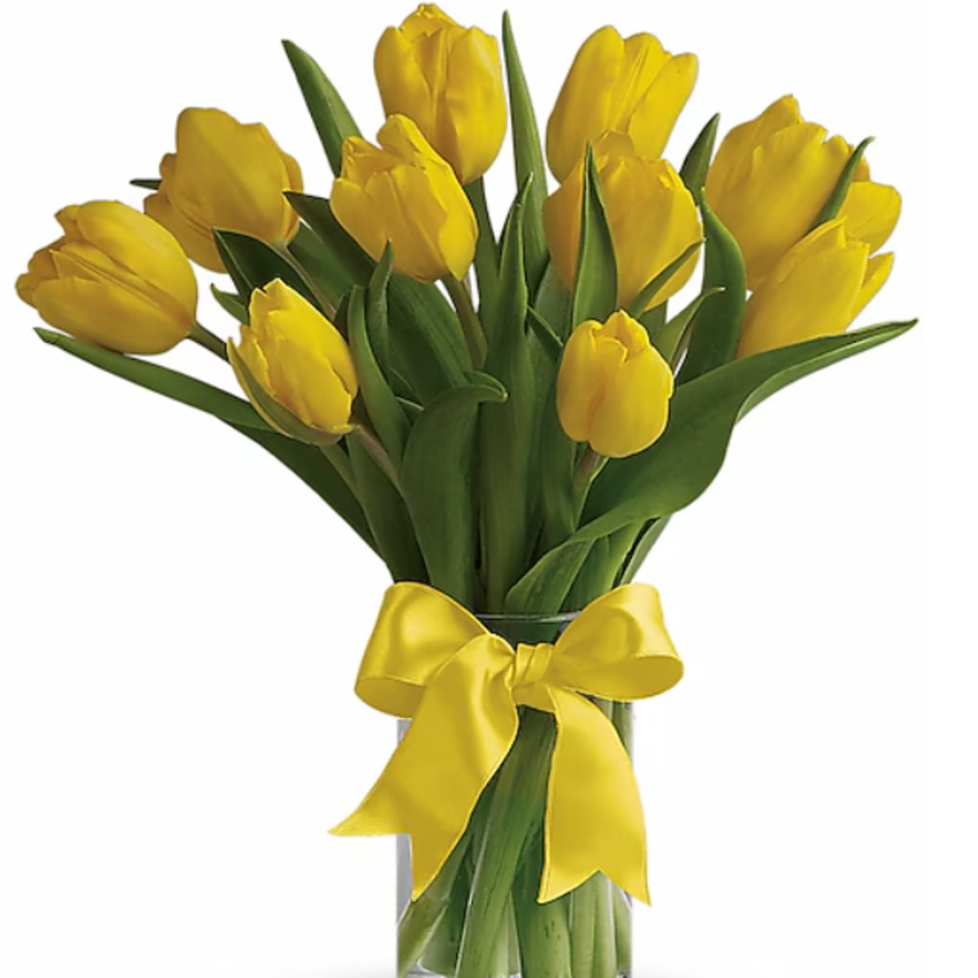 Yellow tulips in a clear glass vase with a yellow ribbon