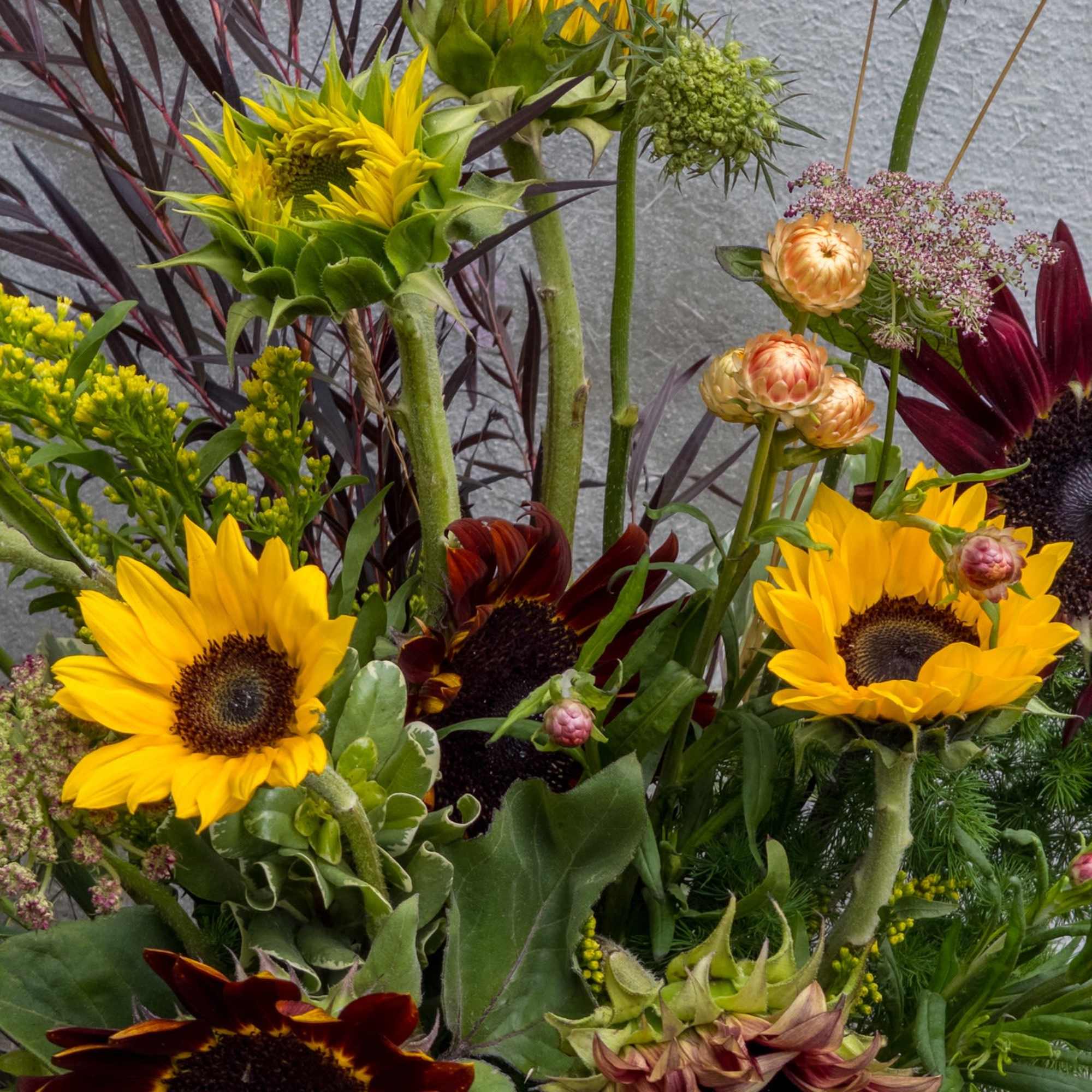 Bouquet of yellow and burgundy sunflowers with textured filler flowers against a gray wall