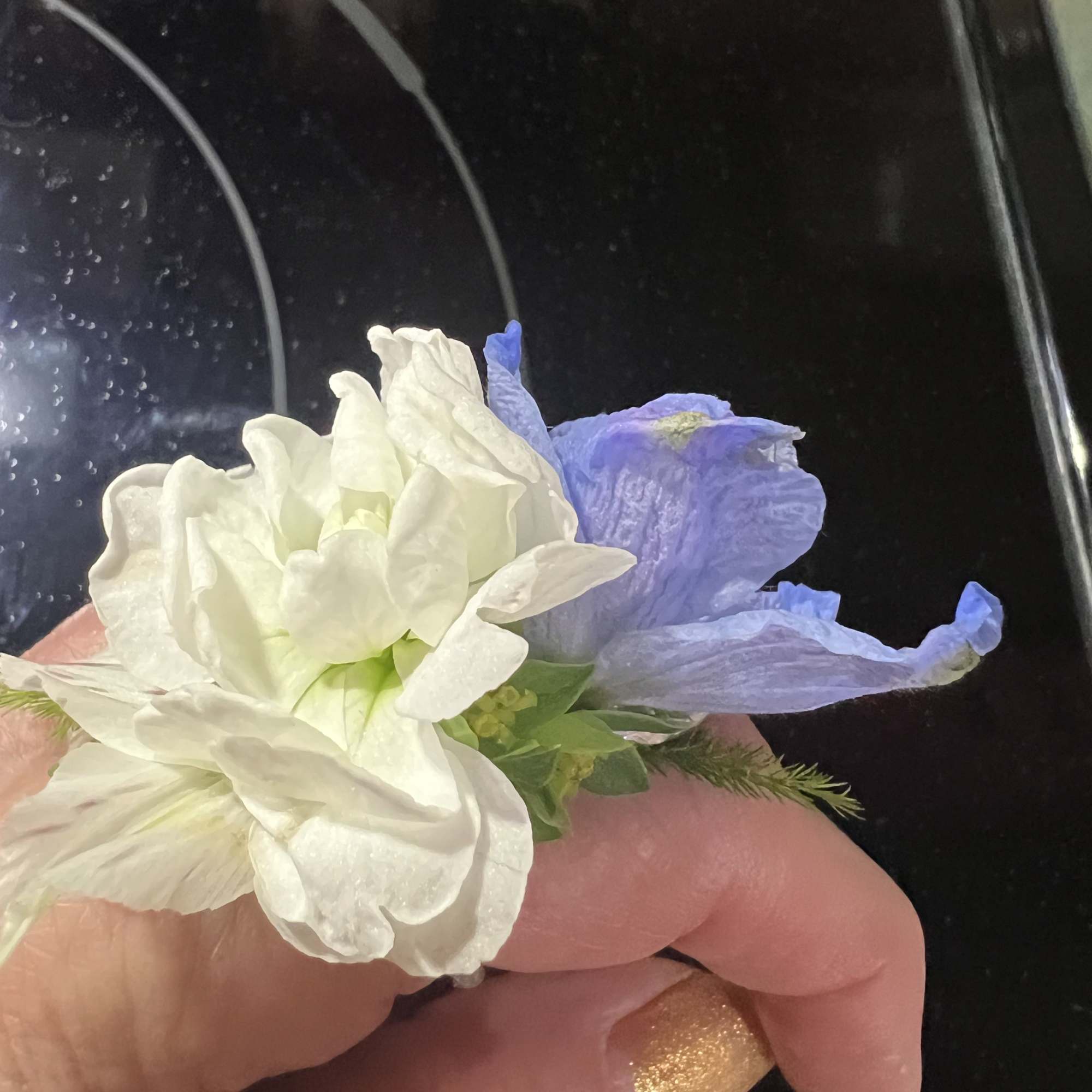 Small white and lavender flower corsage held in a hand
