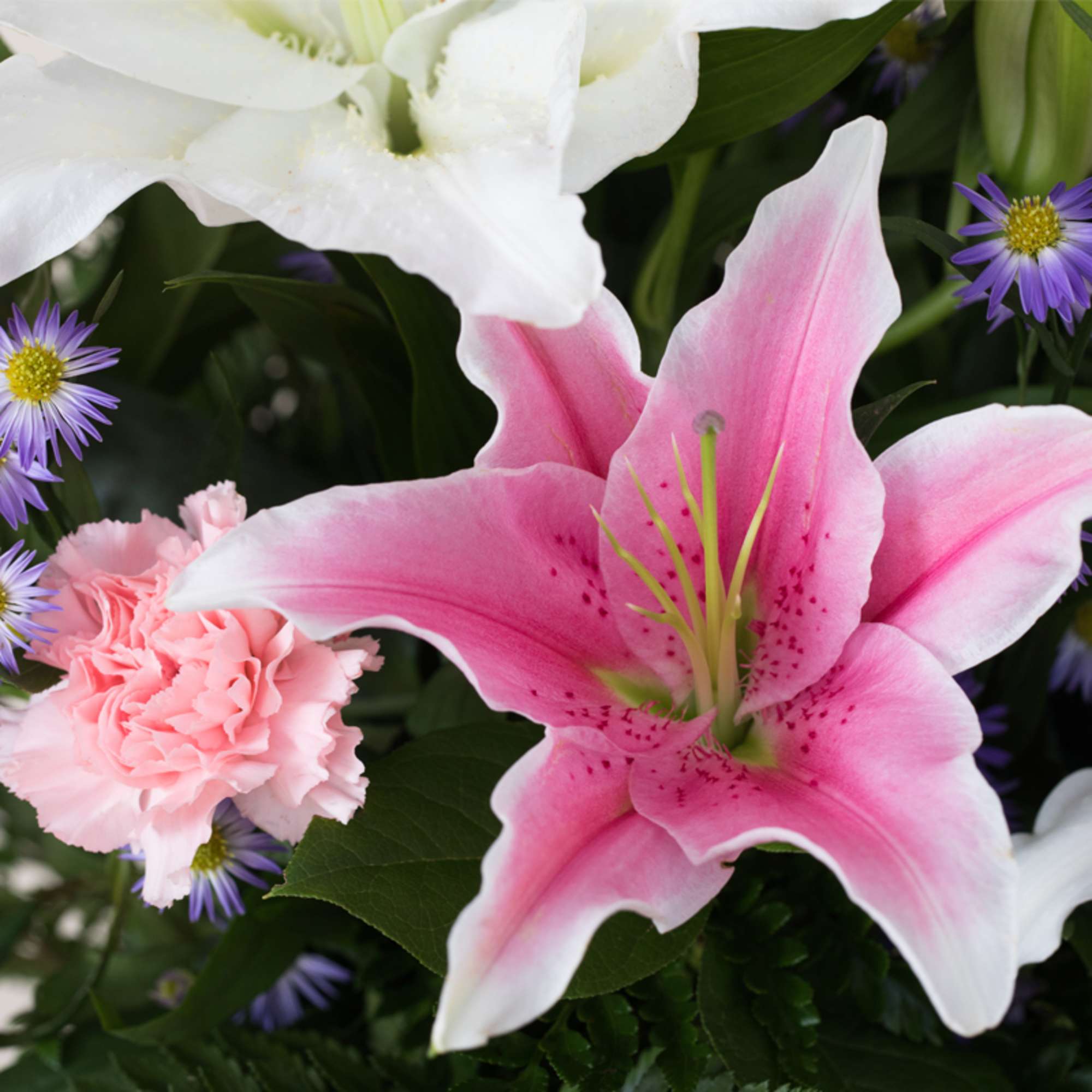 Close-up of pink and white lilies with a pink carnation and small purple asters