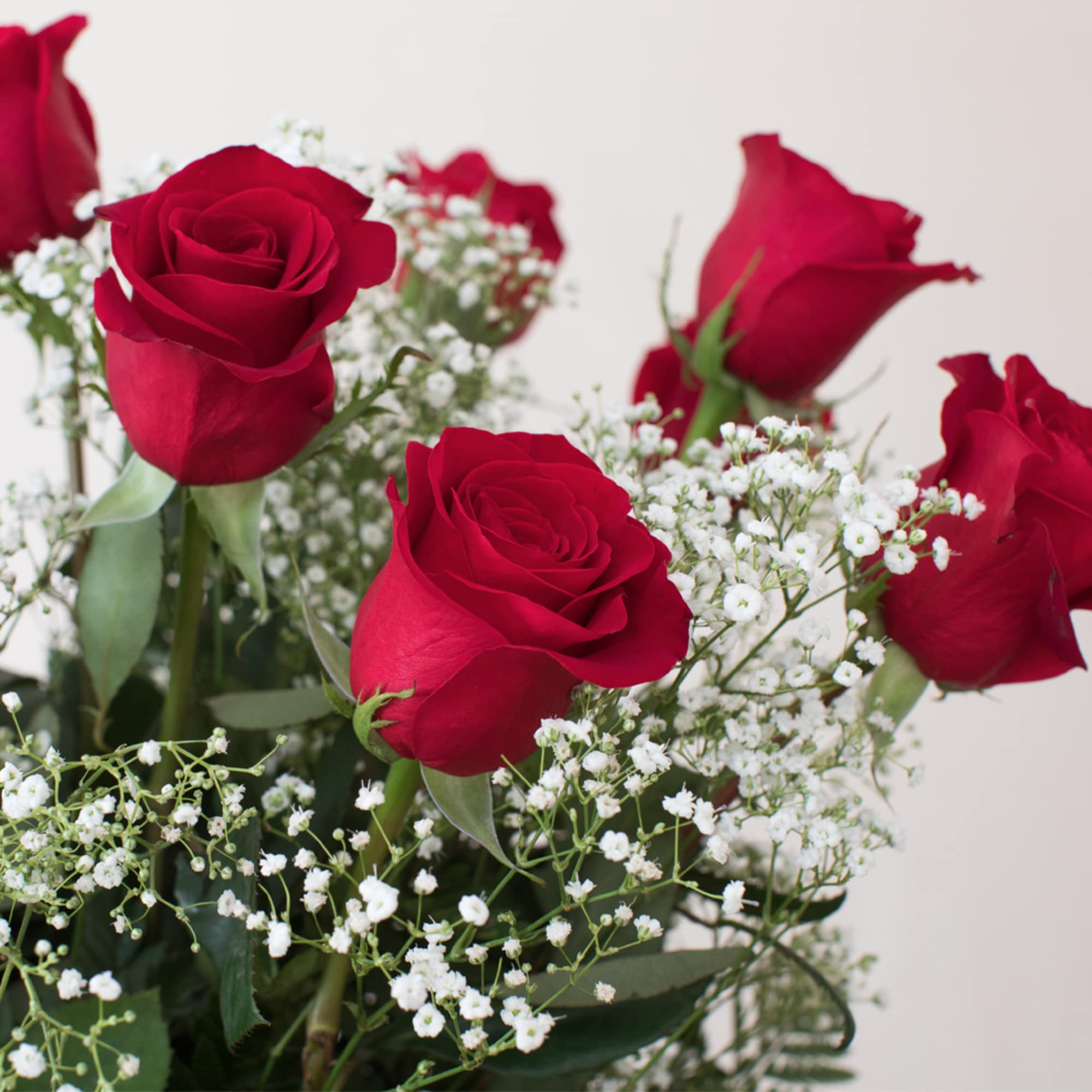 Red rose stems with clusters of small white filler flowers against a light background