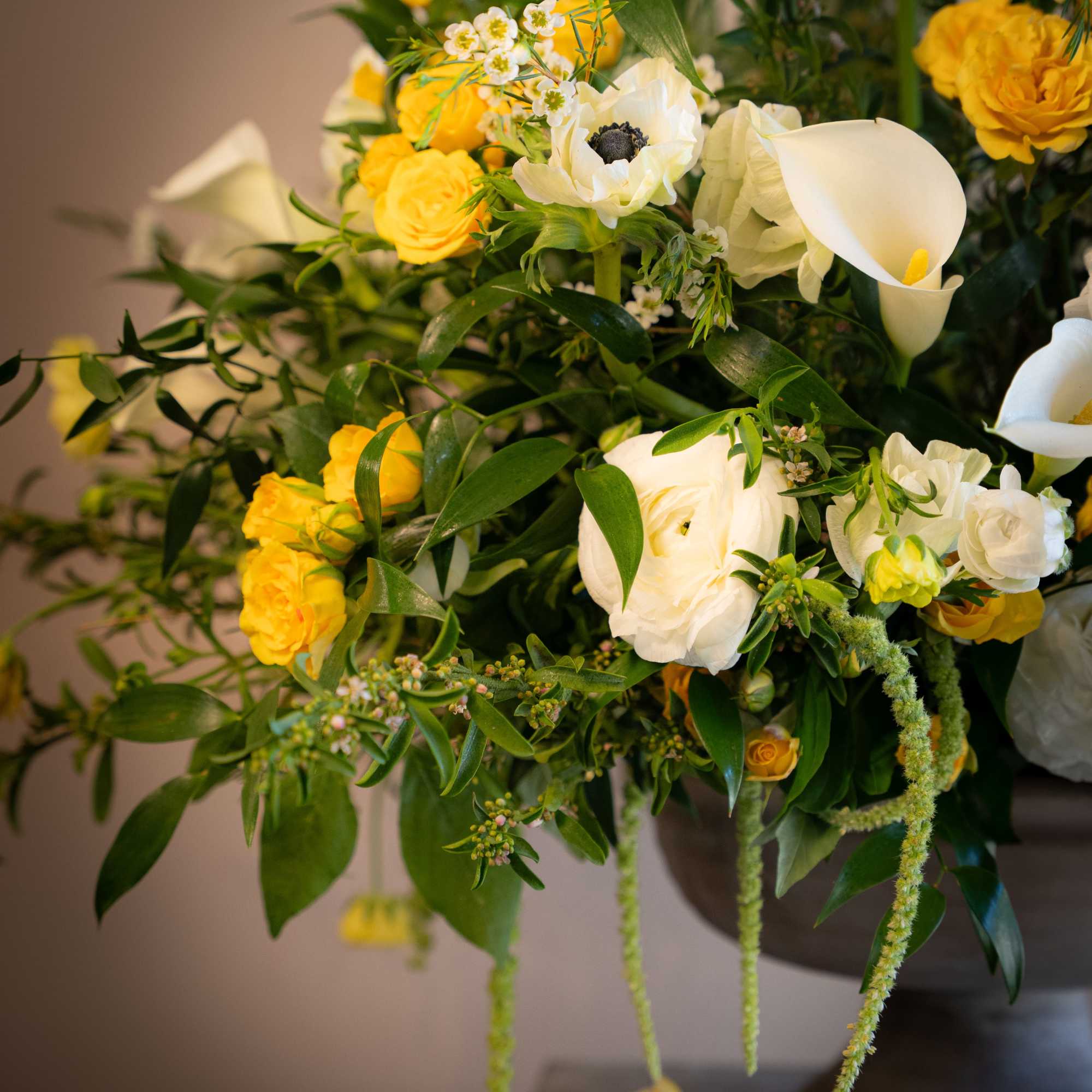Bright and radiant, Sole di Capri captures the golden warmth of the, photo 2 of 4