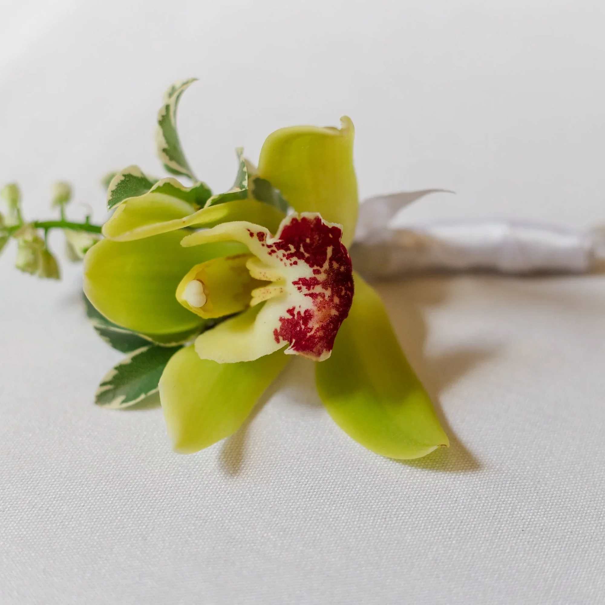 Green orchid boutonniere with red-speckled center on white wrap