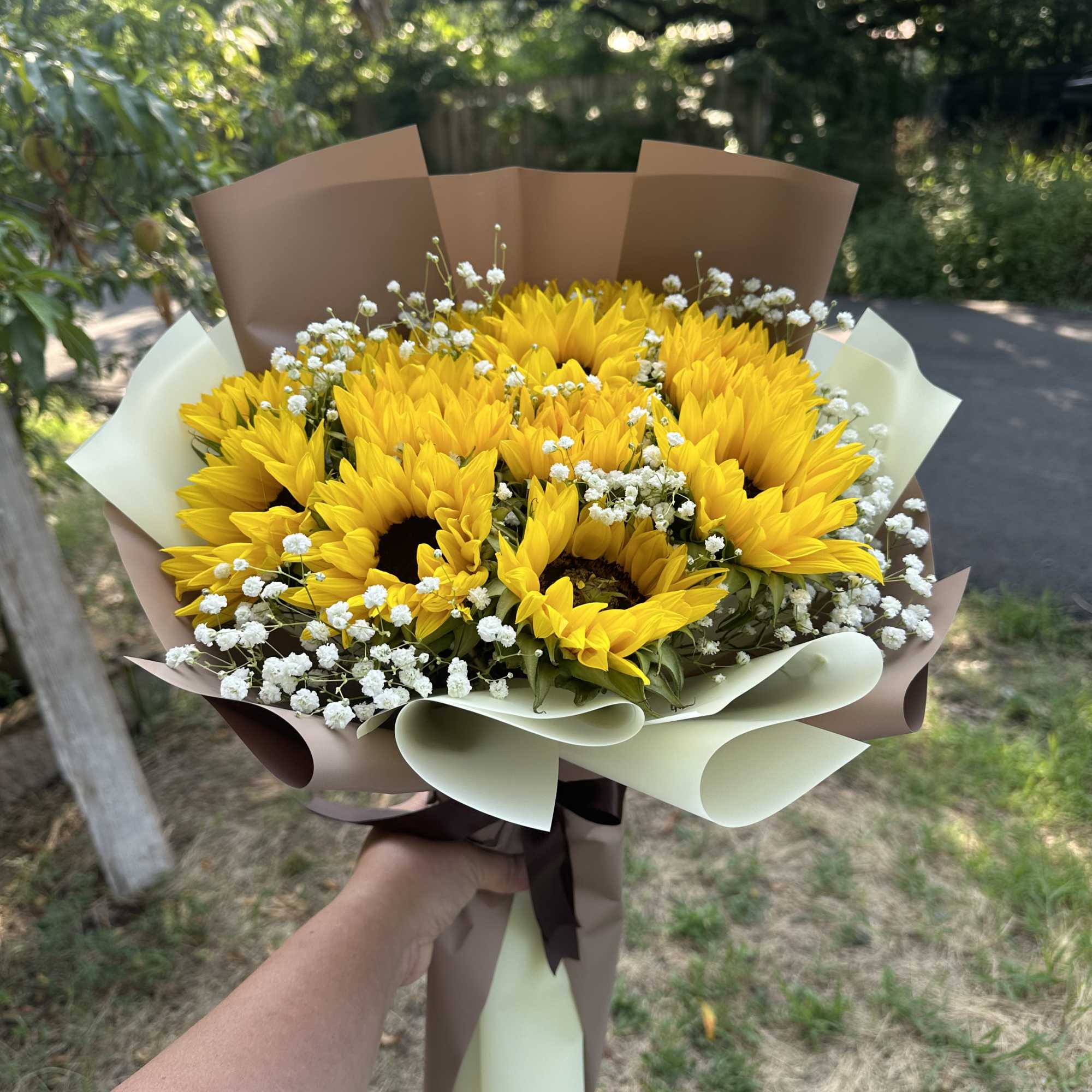 Bouquet of yellow sunflowers with white baby's breath in brown and cream wrap, photo 2 of 3