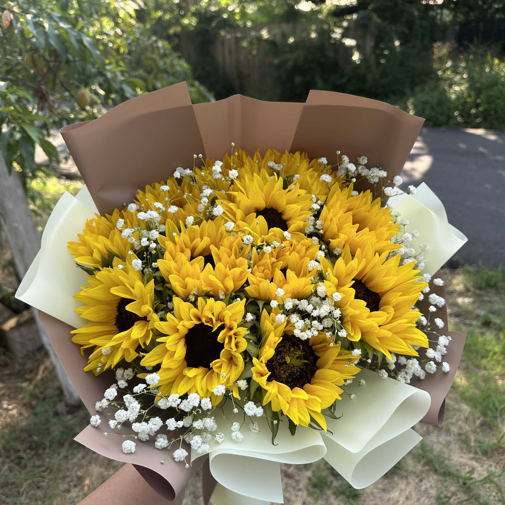 Bouquet of yellow sunflowers with white baby's breath in brown and cream wrap, photo 3 of 3