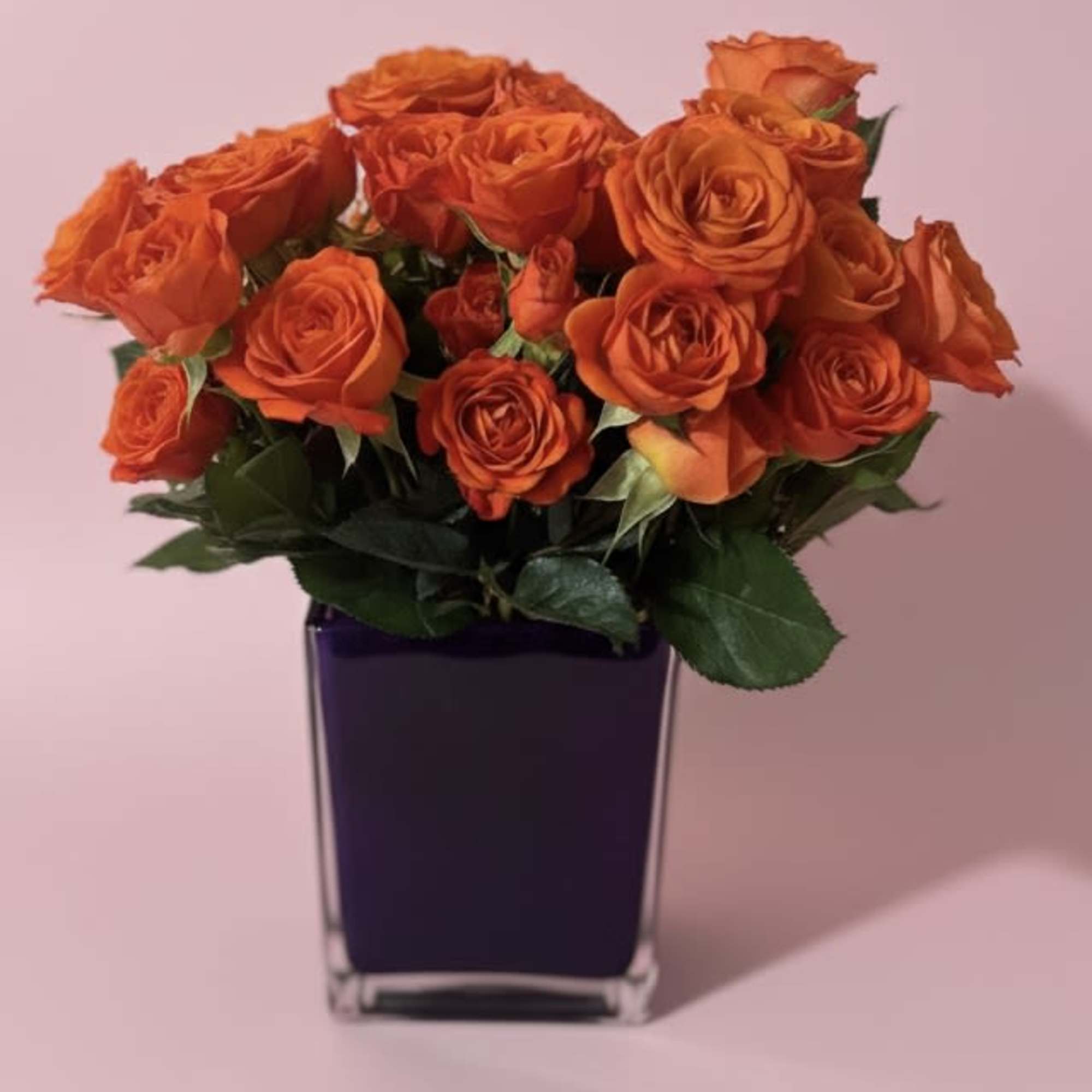 A tightly packed dome of vibrant orange roses creates an immediate, joyful