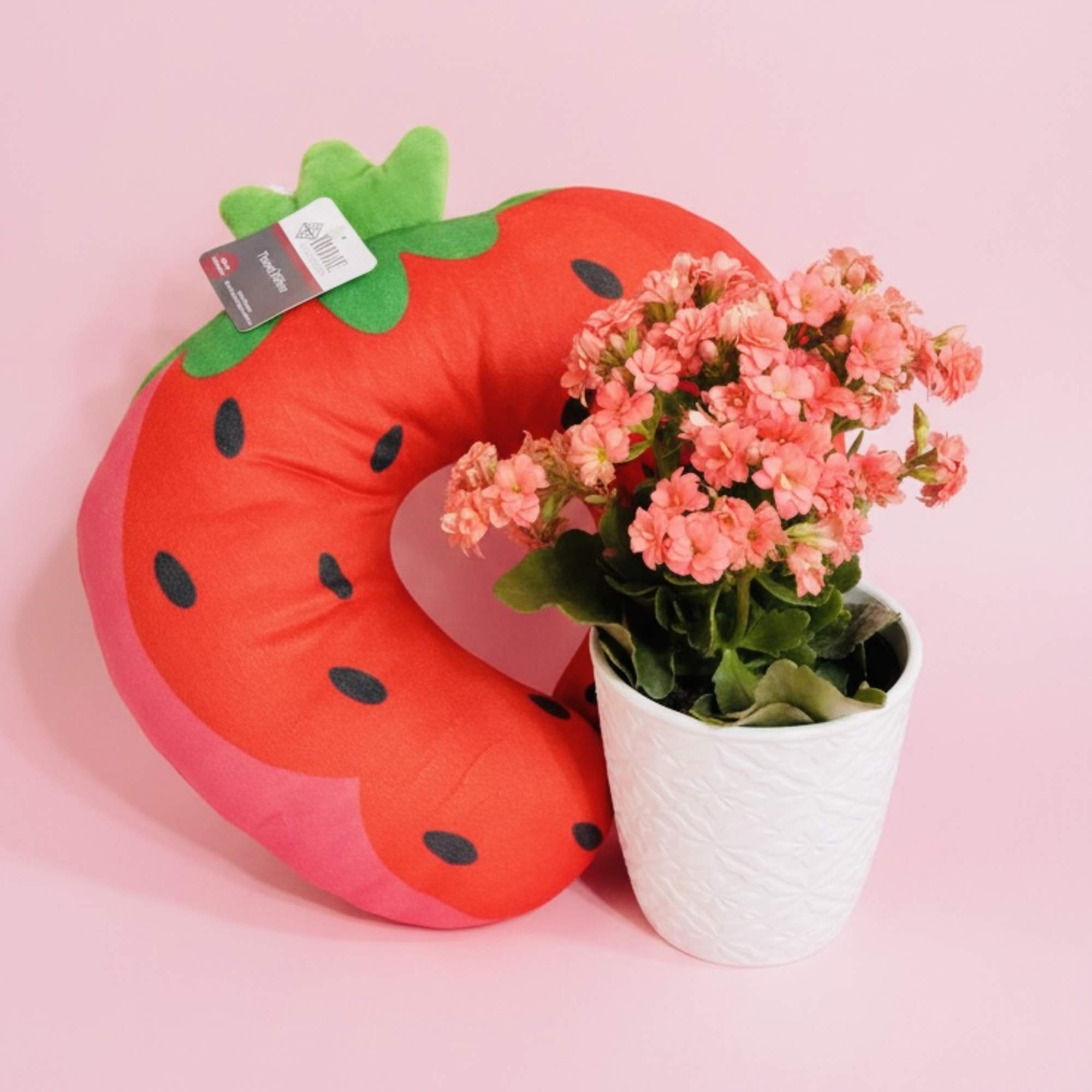 Pink flowering plant in a white pot beside a strawberry-shaped plush pillow