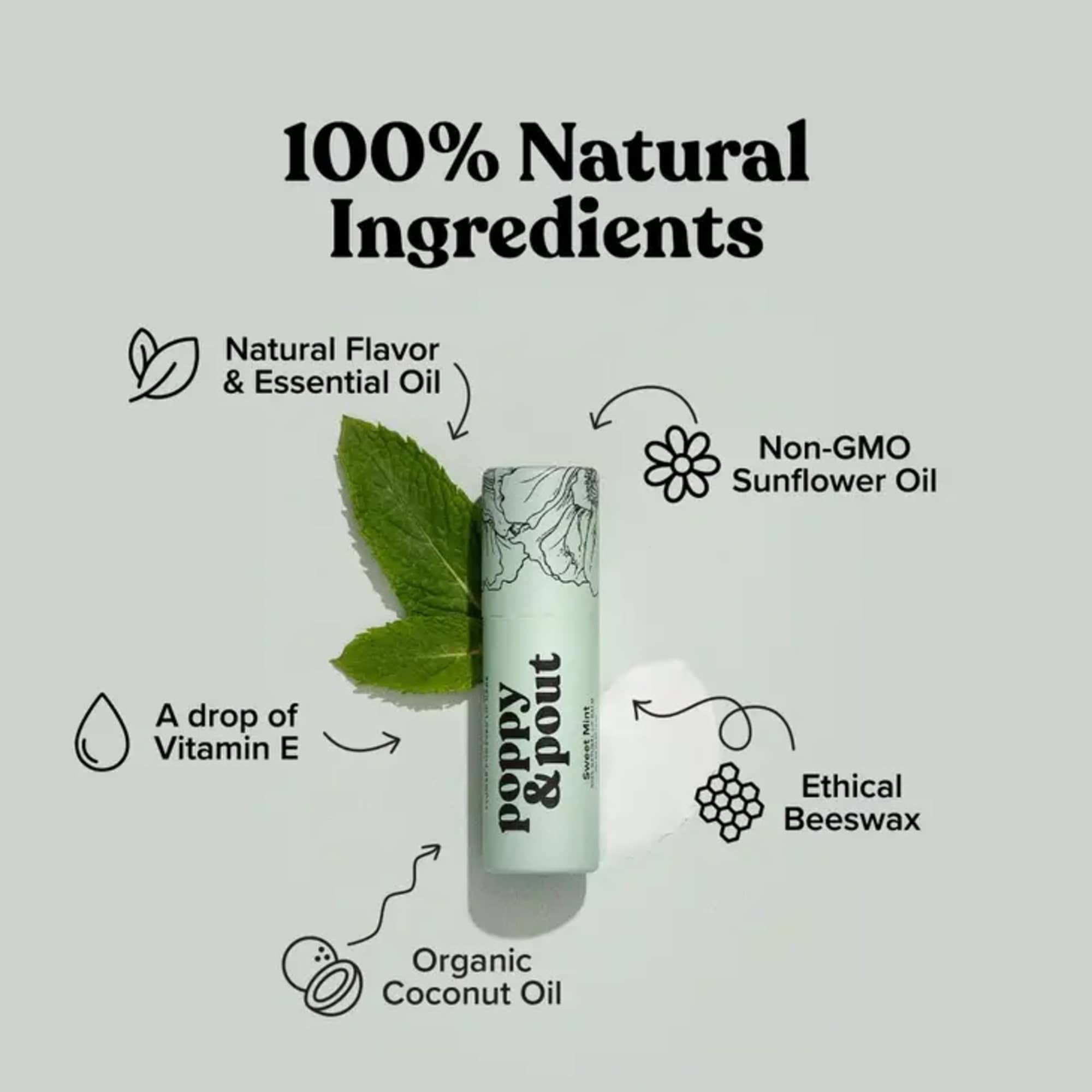 Lip balm tube with mint leaves and ingredient callouts