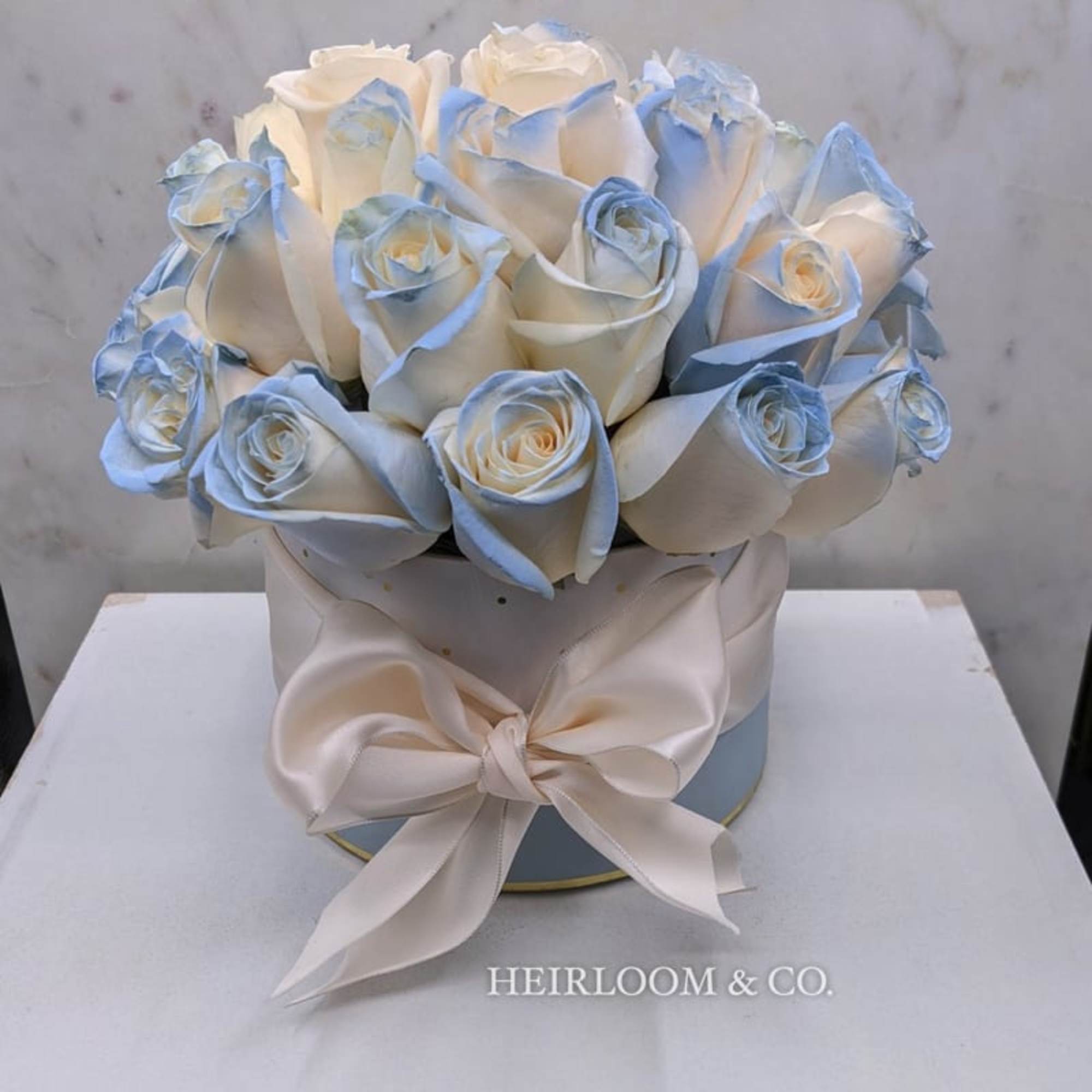 White roses with pale blue edges in a round box tied with a satin bow