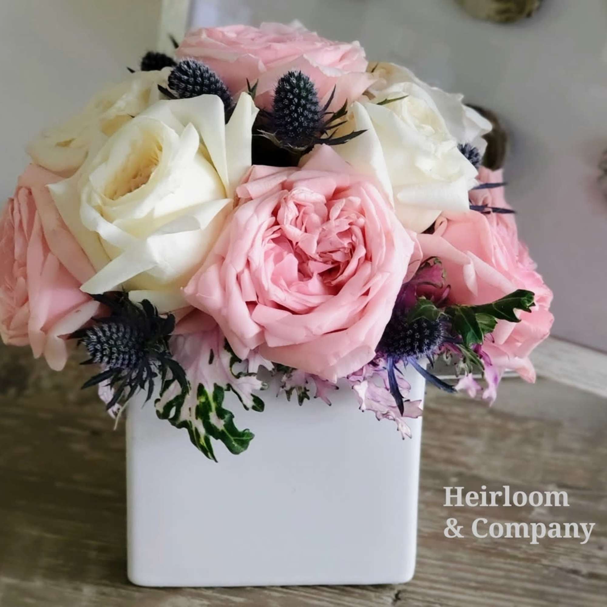 Pink and white roses arranged in a white square vase