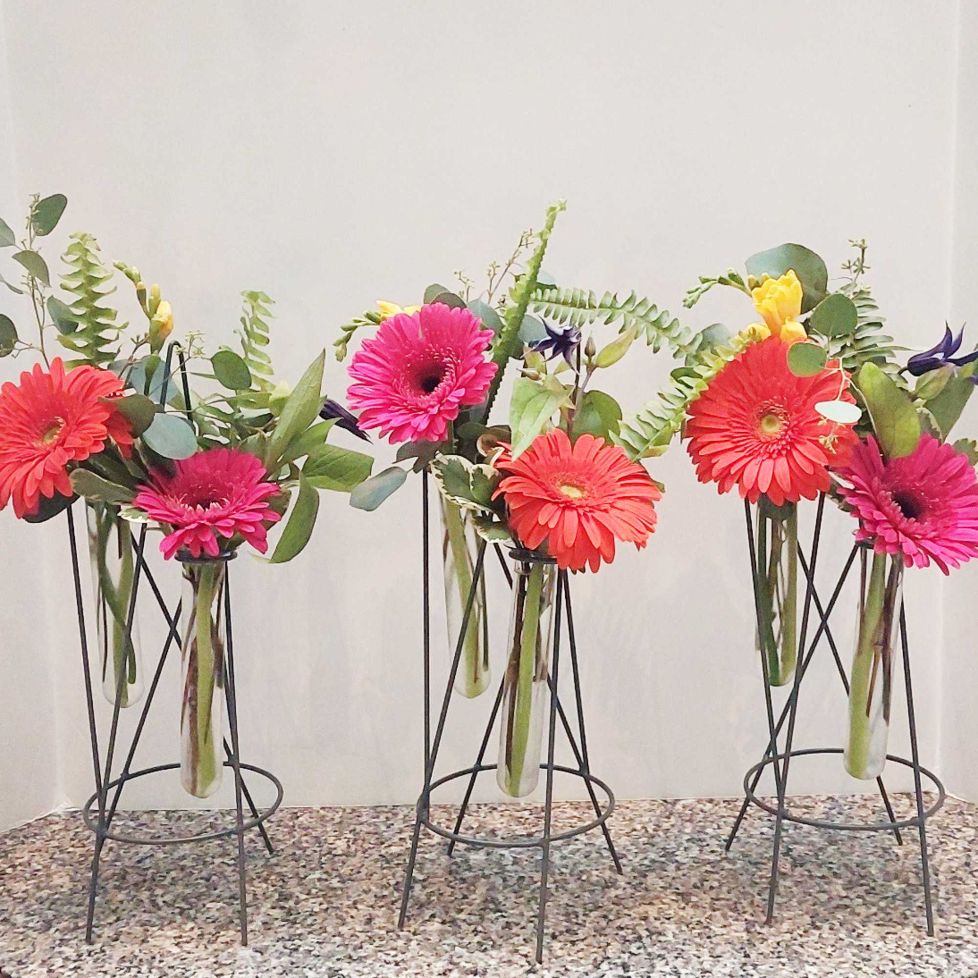 Three gerbera daisy arrangements in glass vases on black stands