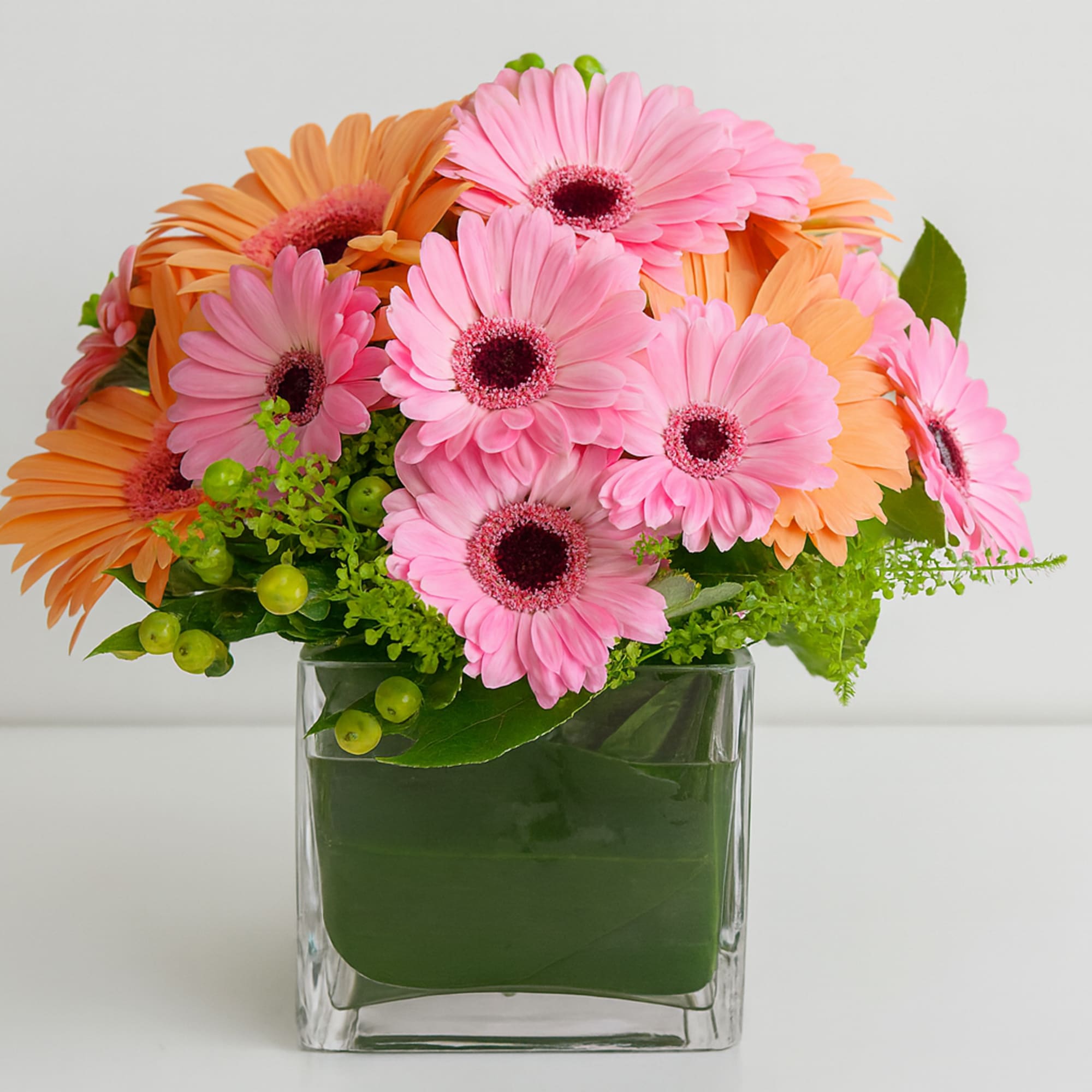 Pink and orange gerbera daisies arranged in a clear square vase
